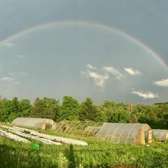 Rainbow over Aldebaran Farm