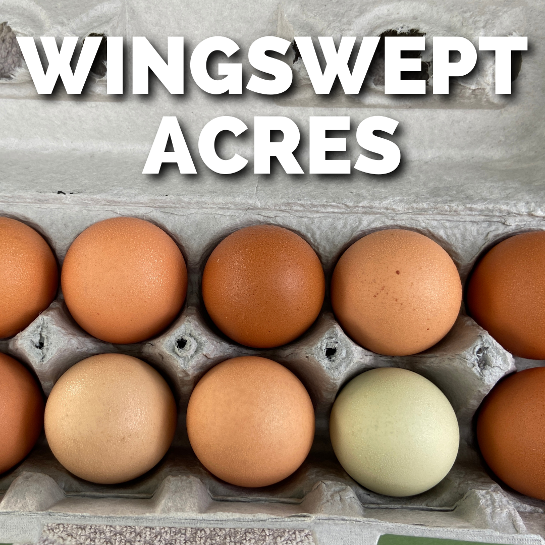 WINGSWEPT ACRES .png