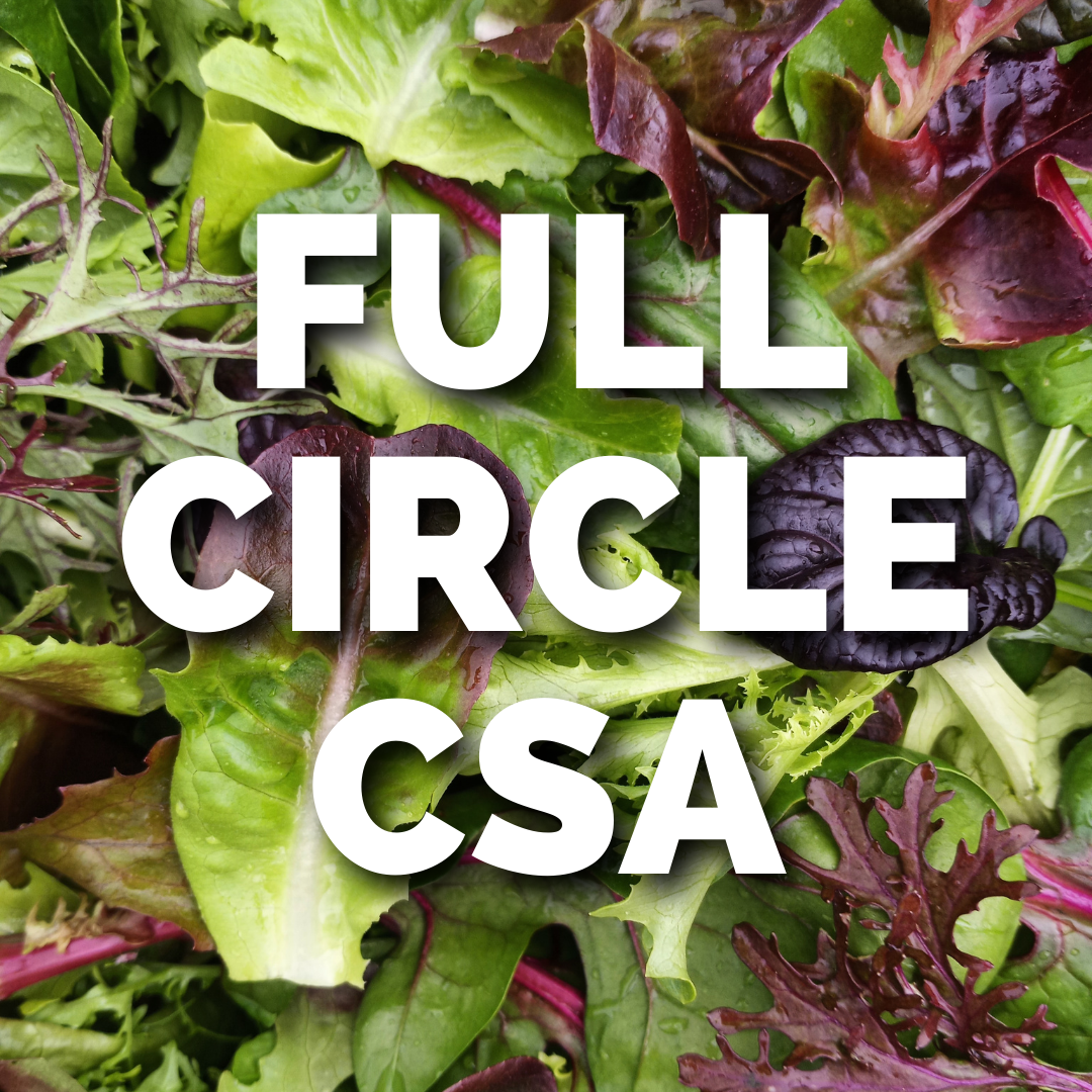 FULL CIRCLE CSA.png