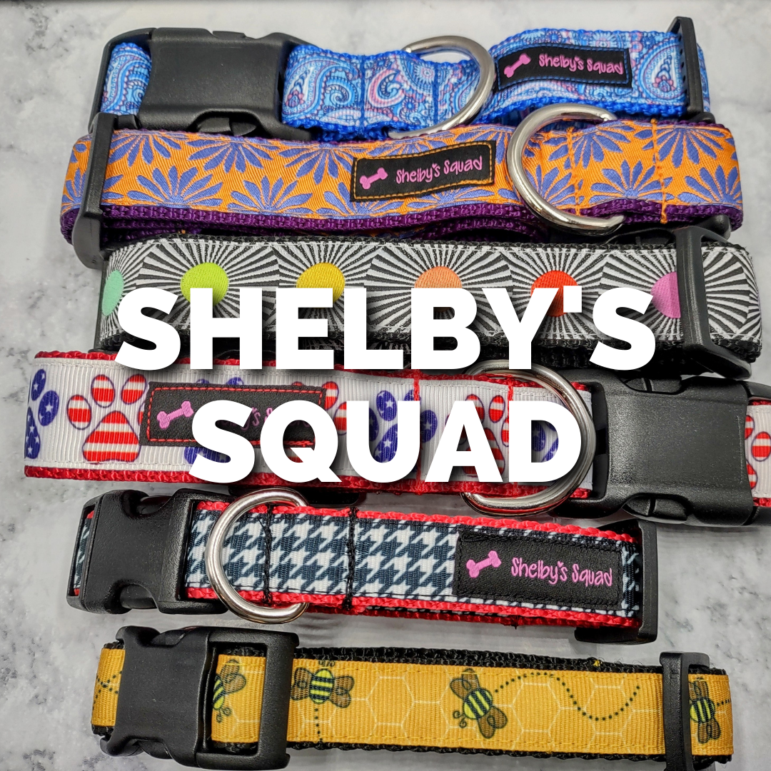 SHELBY'S SQUAD.png