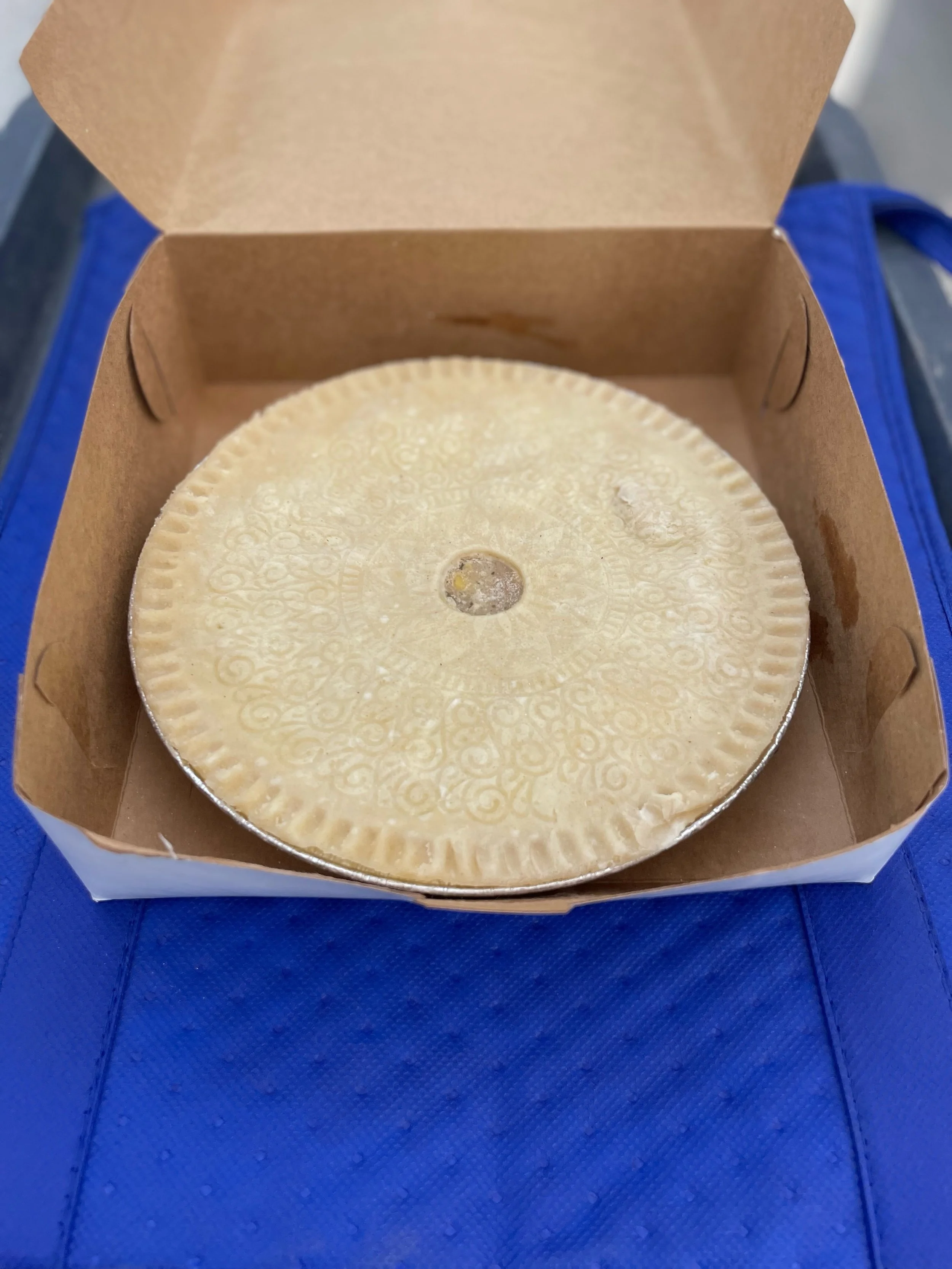 Elizabeth Linde Alter image0 2023-07-16.jpeg