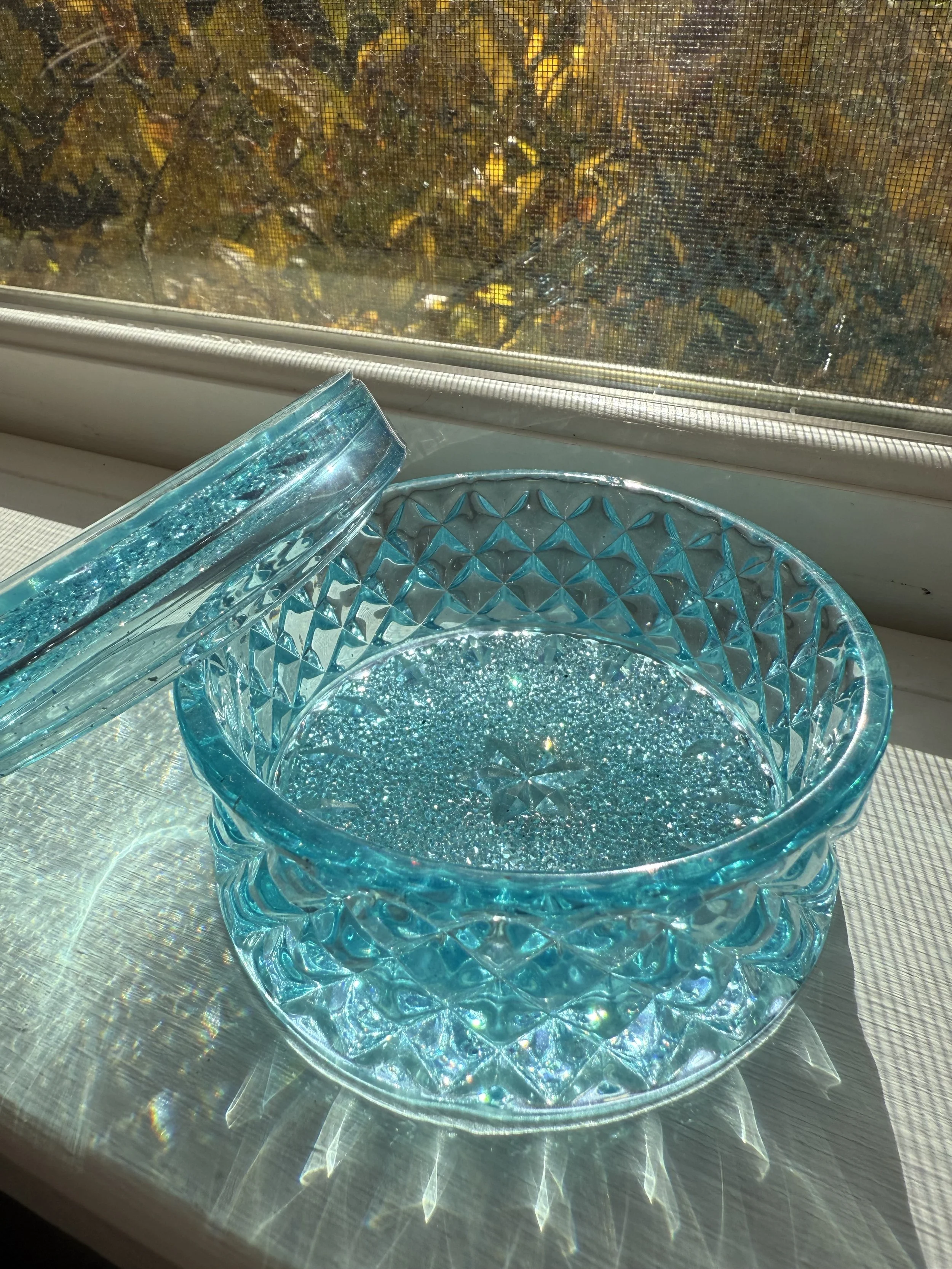 Art After Dark IMG_2803 2025-11-02.jpeg