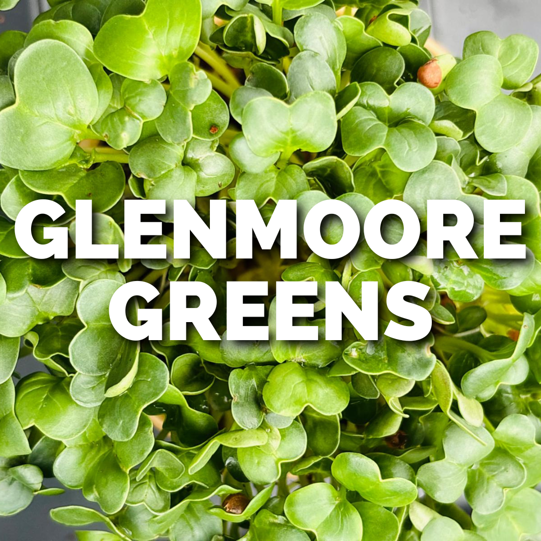 glenmoore greens.png