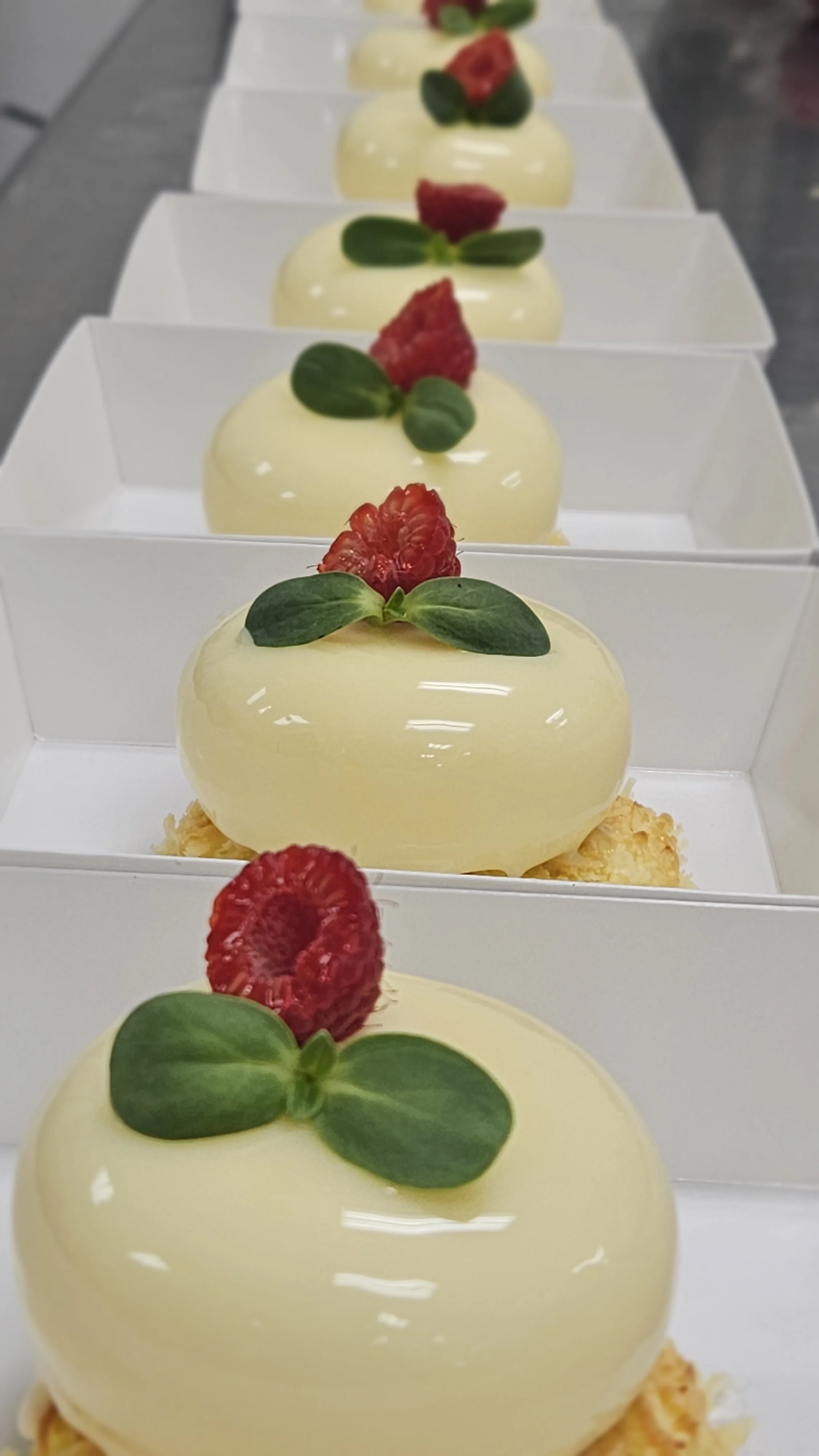 Sandrine Louvel 20260222_070253 2026-02-22.jpg