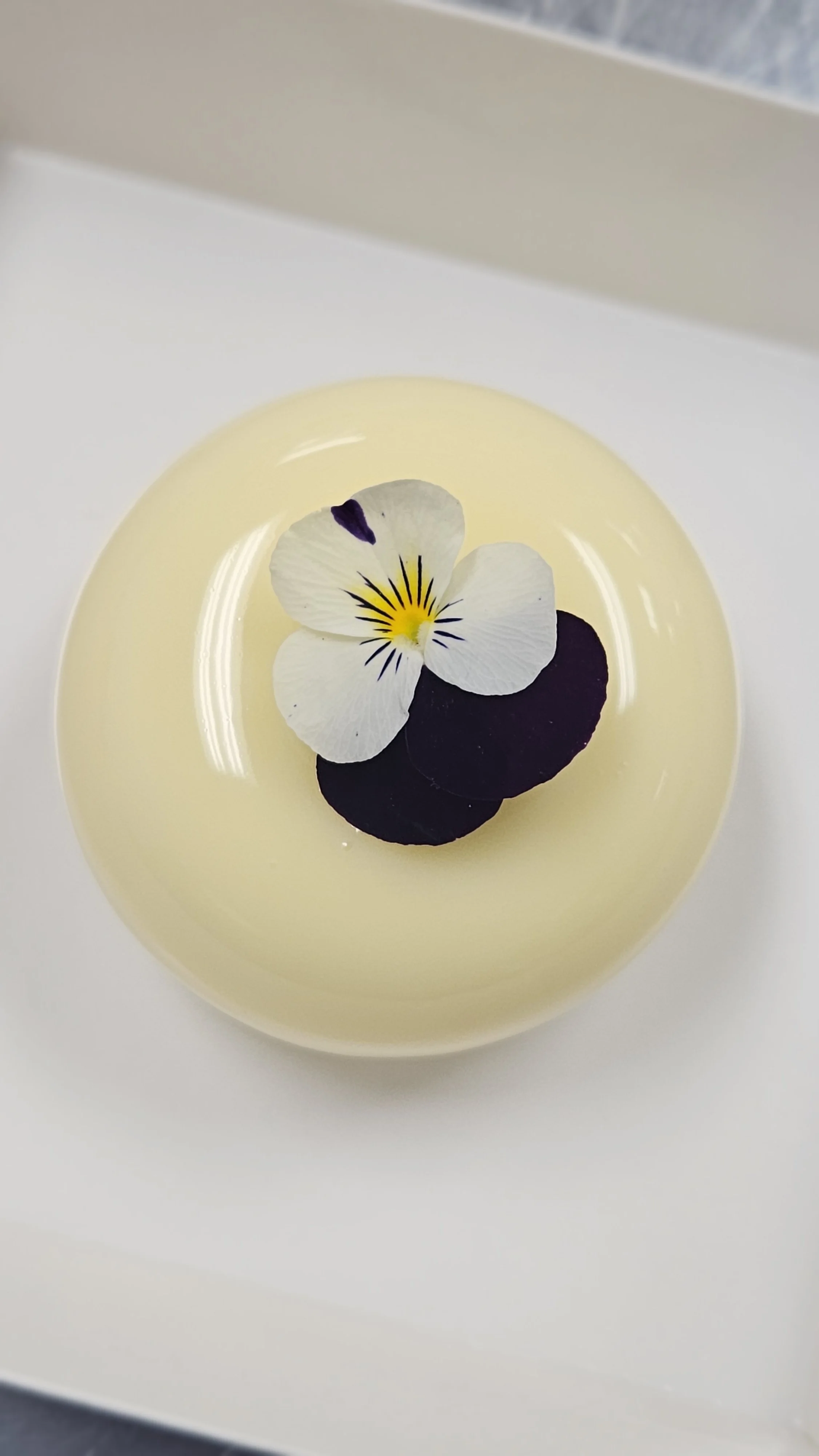 Sandrine Louvel 20260322_055105 2026-03-22.jpg