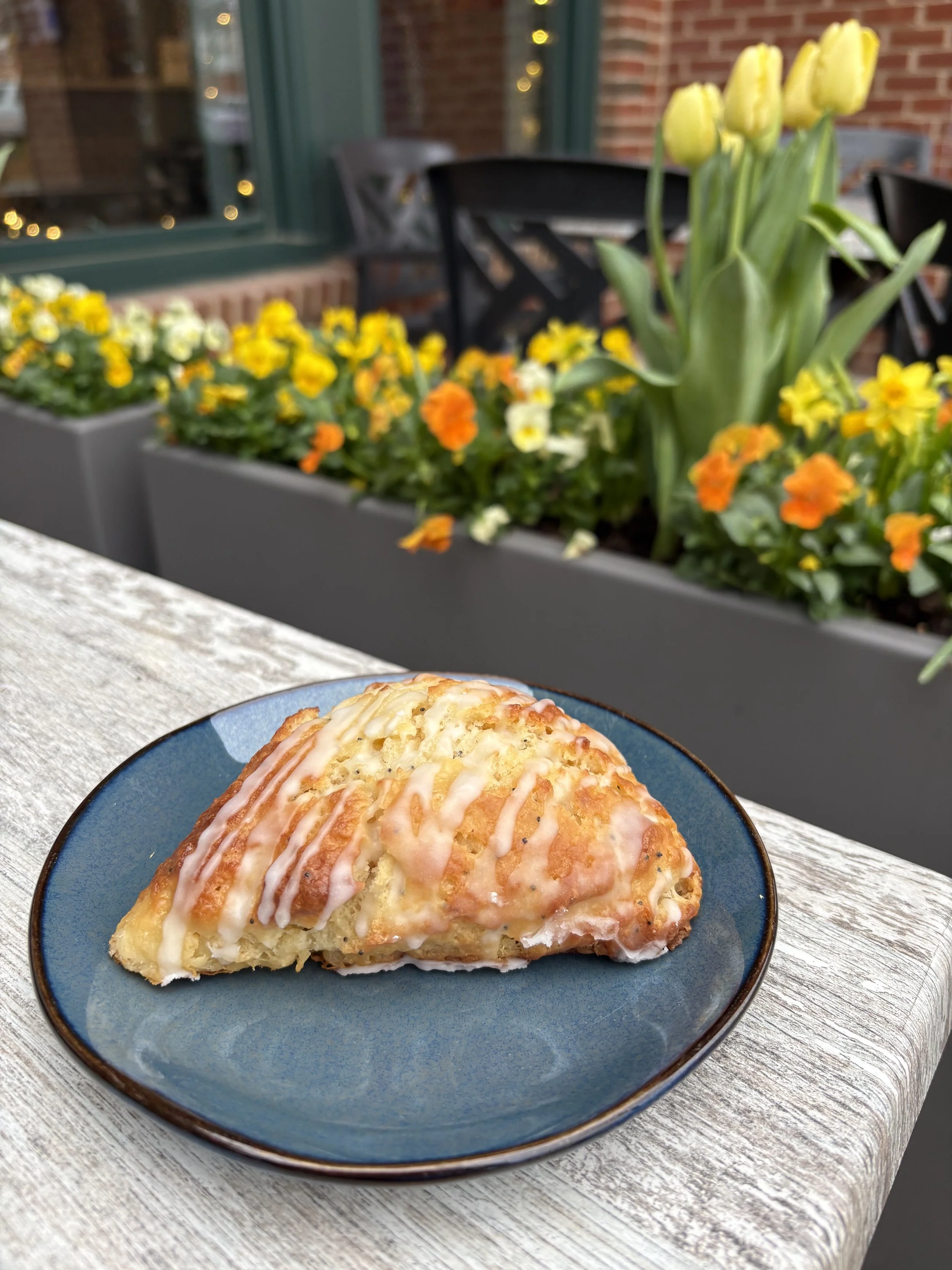 Good Girls Bakery Lemon Poppy Scone 2026-03-30.jpg