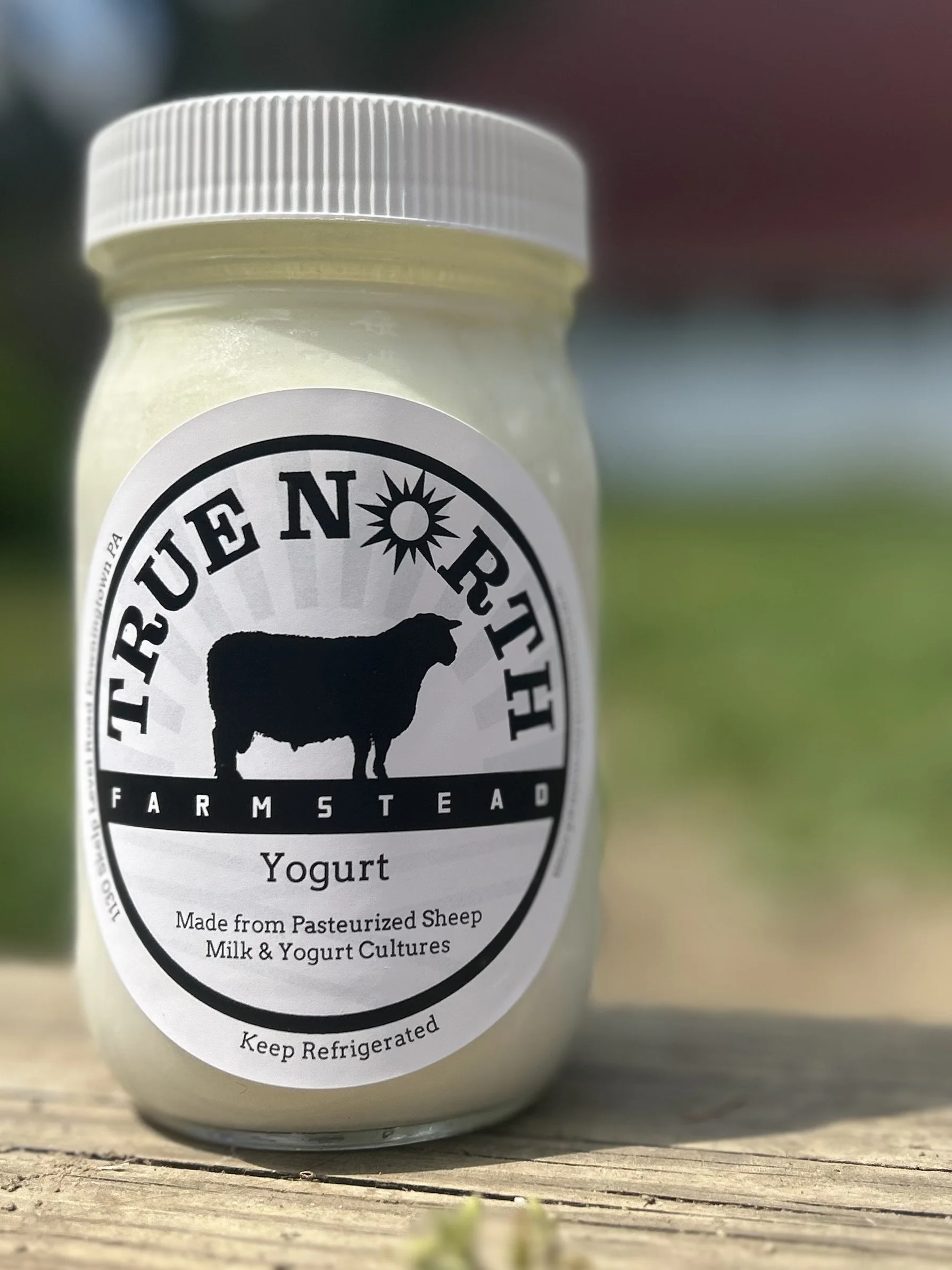 True North Farmstead IMG_2649 2026-04-08.jpeg