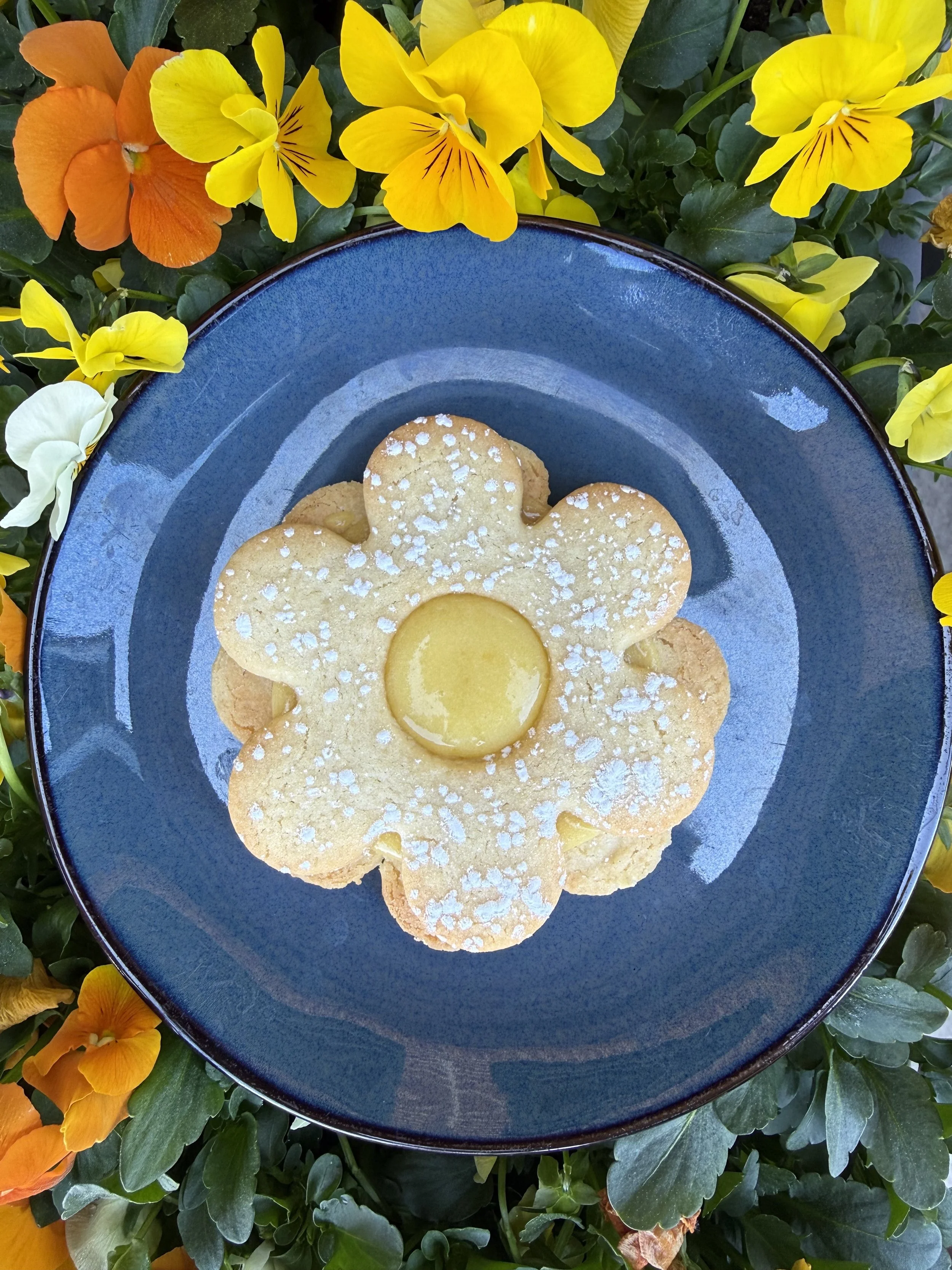 Good Girls Bakery Lemon Sandwich Cookie 2026-04-08.jpg