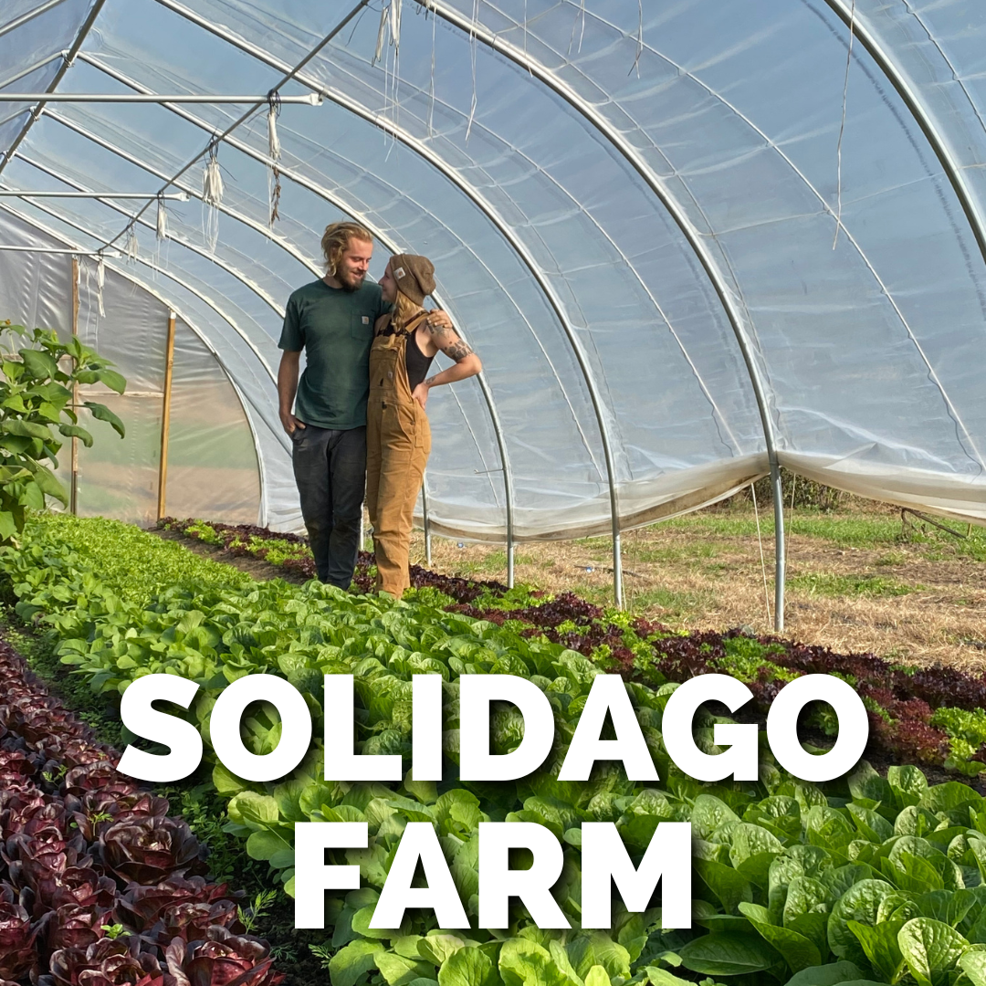 Solidago Farm.png