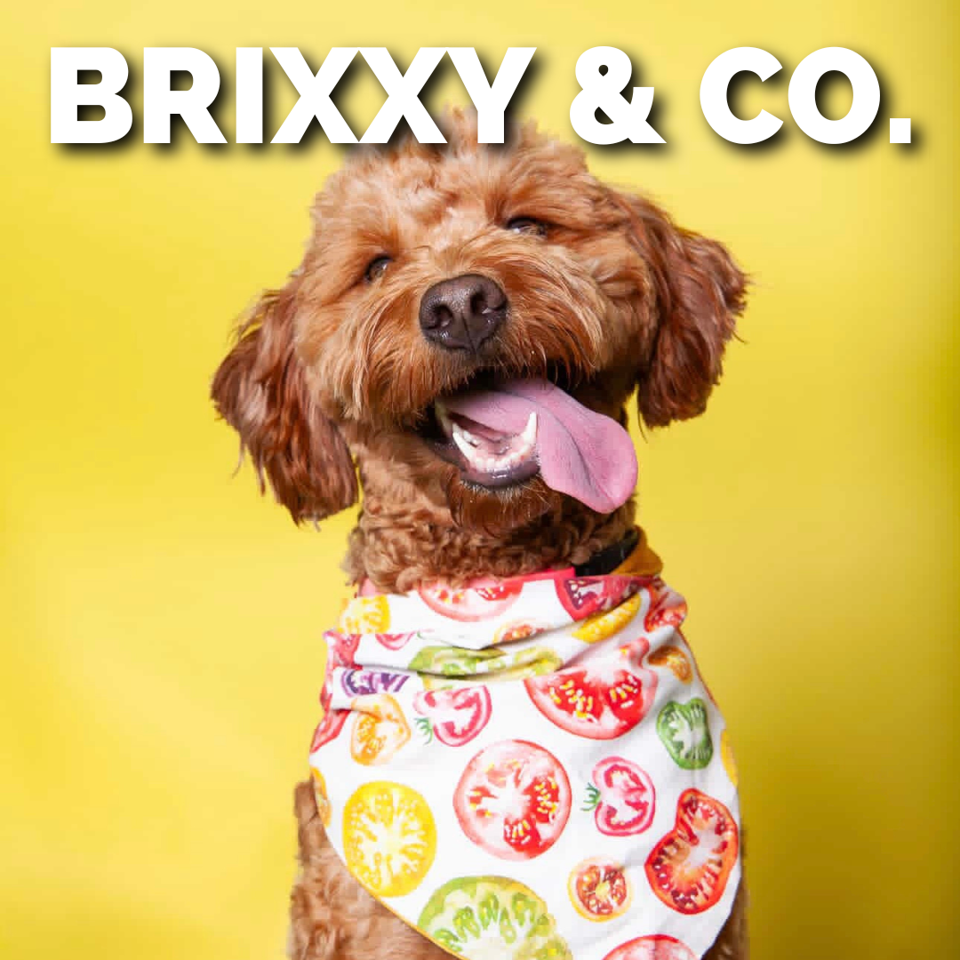 BRIXXY & CO. GLASS DESIGNS .png