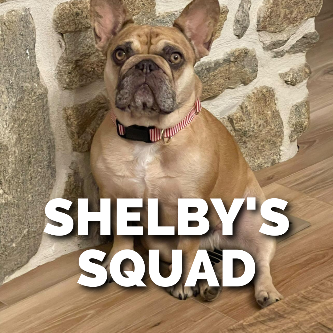 SHELBY'S SQUAD.png