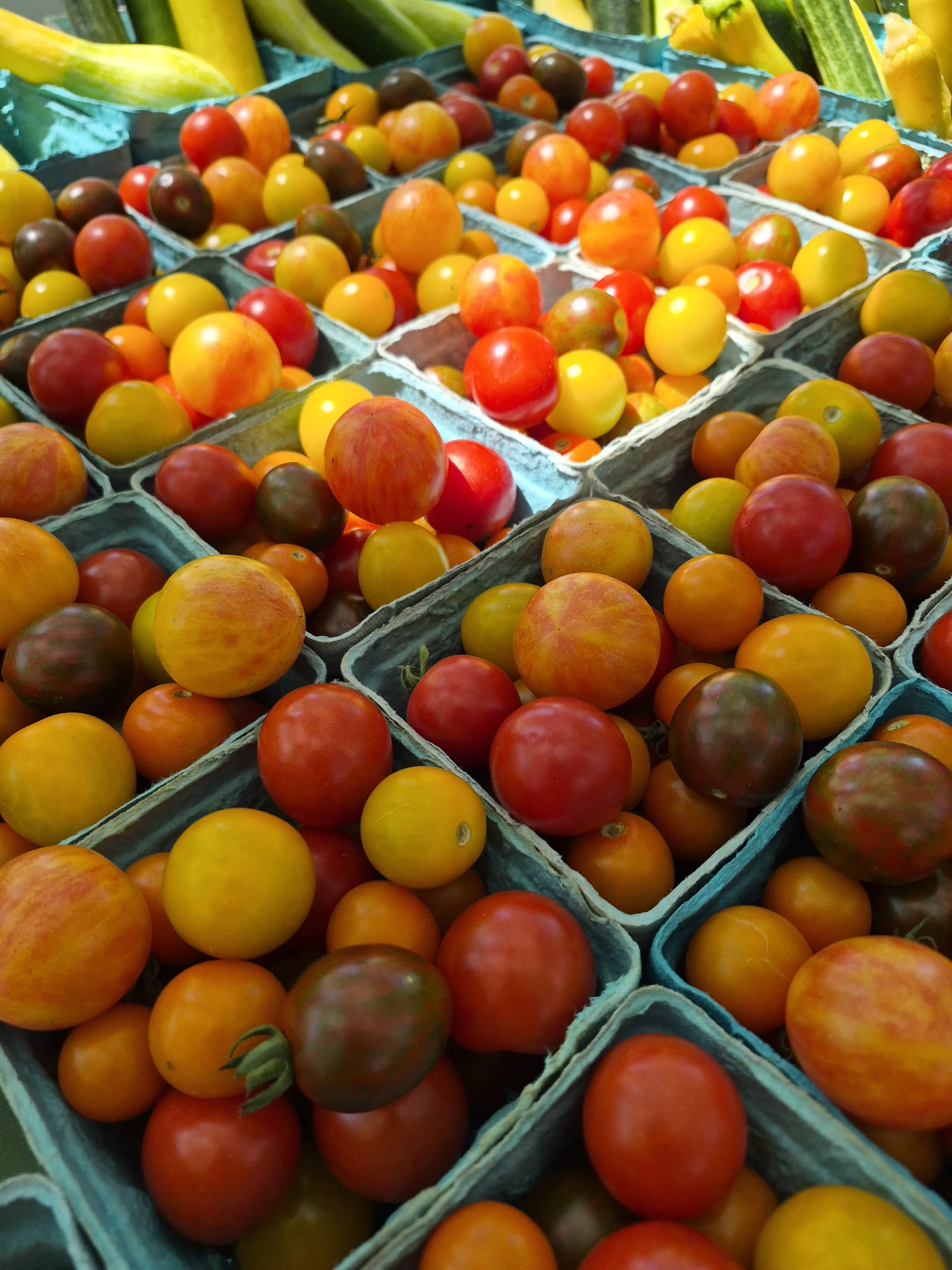 Full Circle CSA 20260723_145213 2026-07-23.jpg