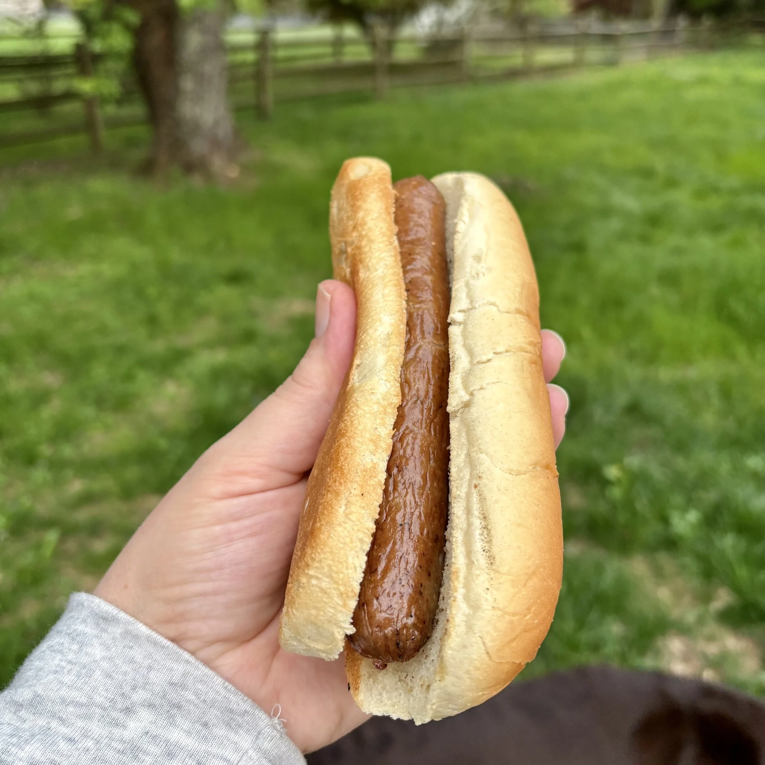 Wyebrook Farm YBK hot dog bun.jpg