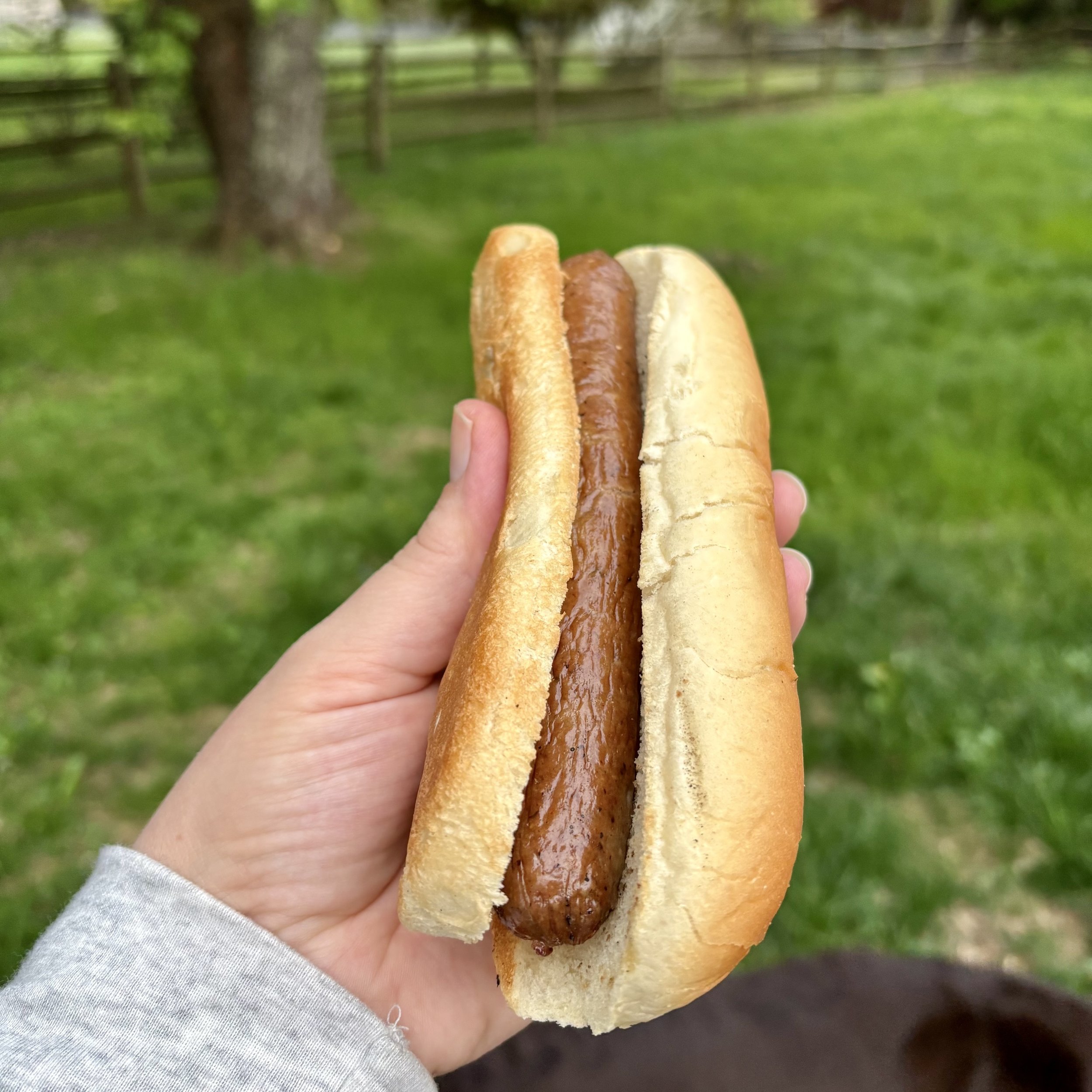 Wyebrook Farm YBK hot dog bun 2026-07-28.jpg