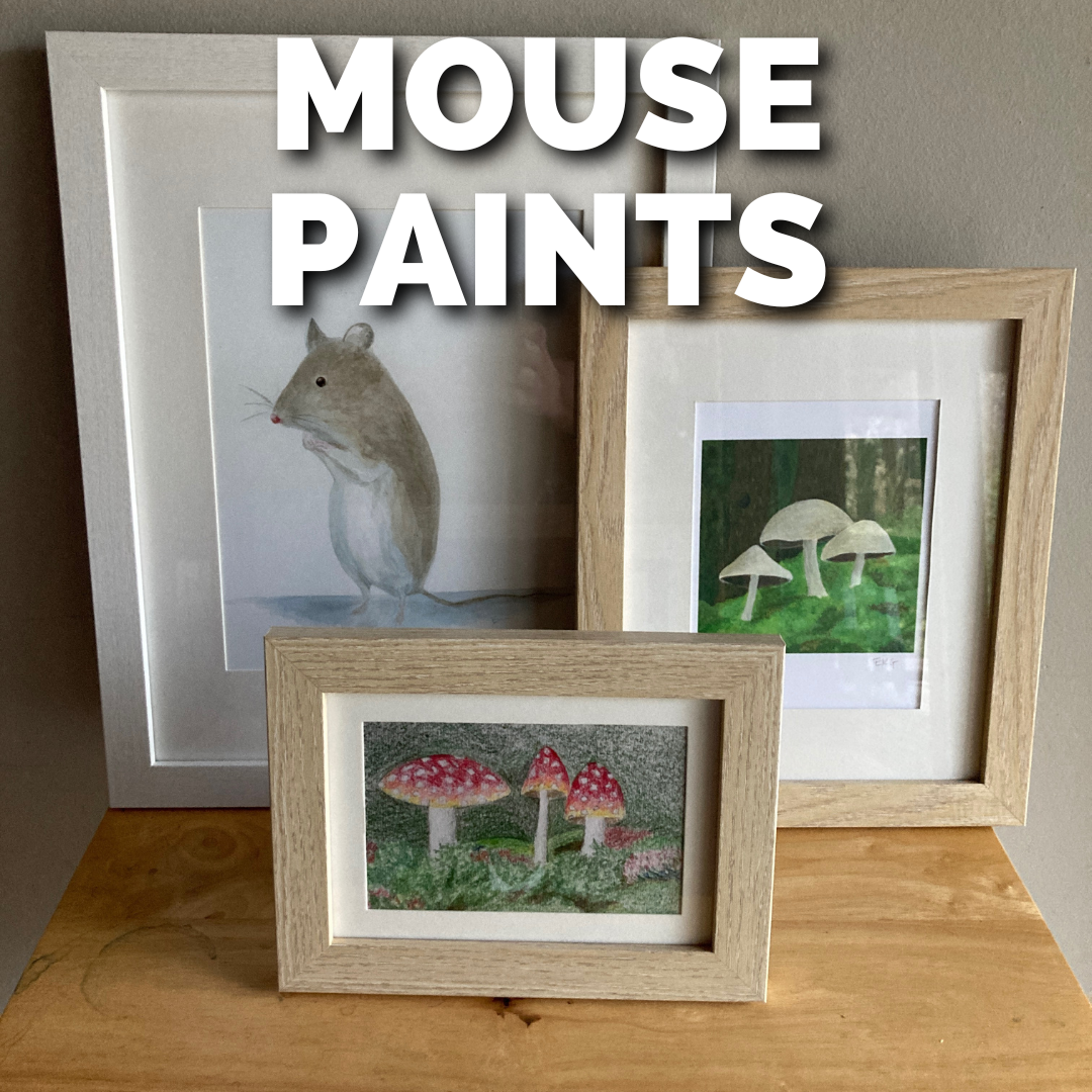 MOUSE PAINTS.png