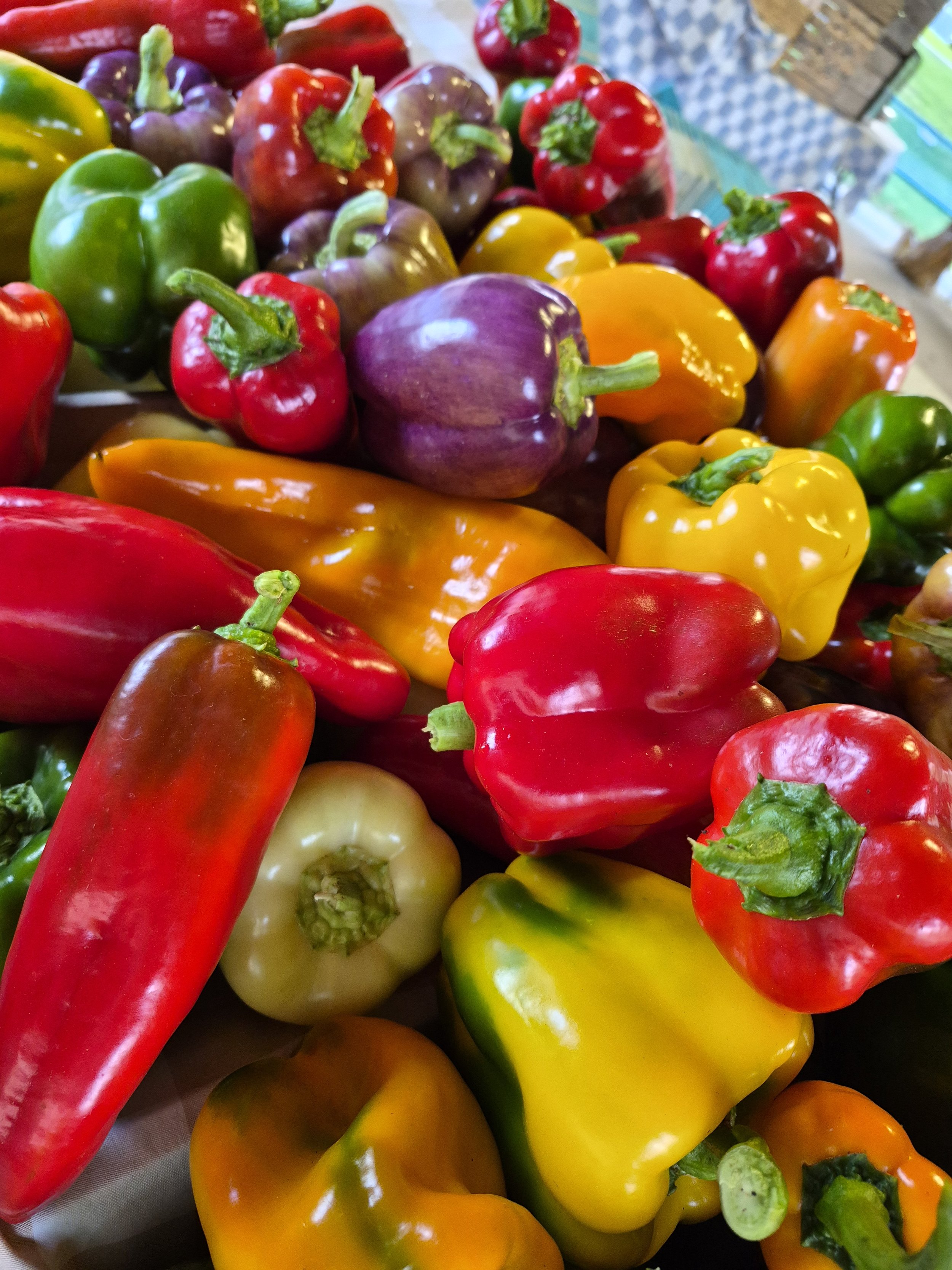 Full Circle CSA 20260919_080143.jpg
