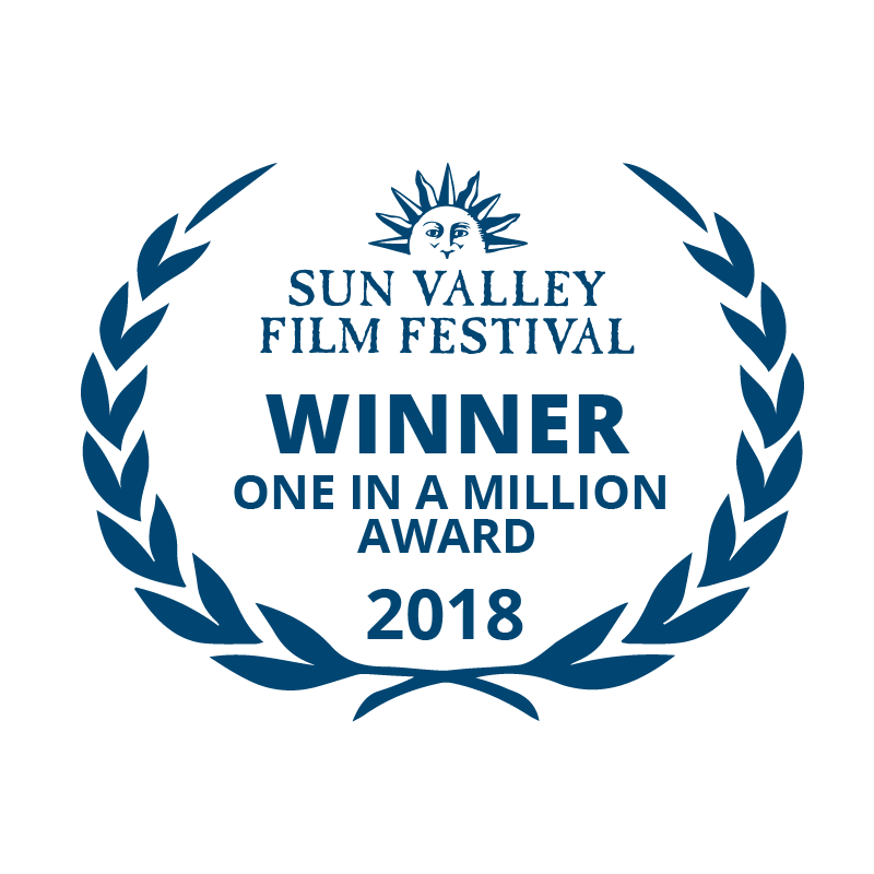 2018 SVFF million-01.png