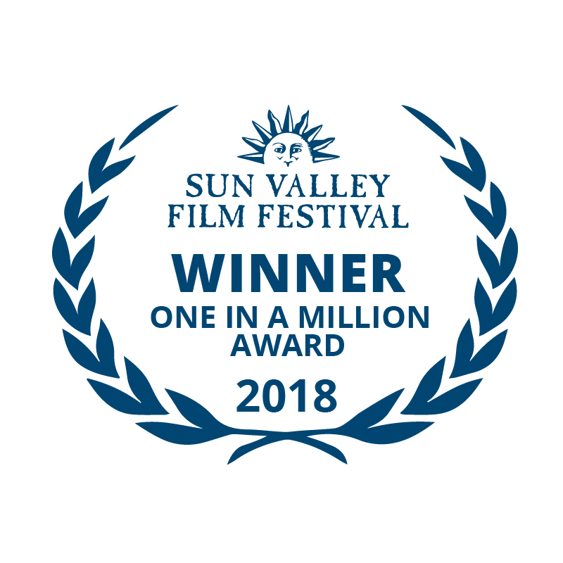 2018 SVFF million-01.png