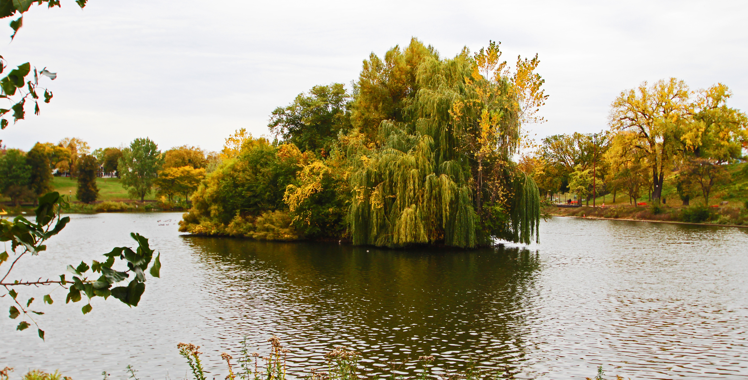 powderhorn park.jpg