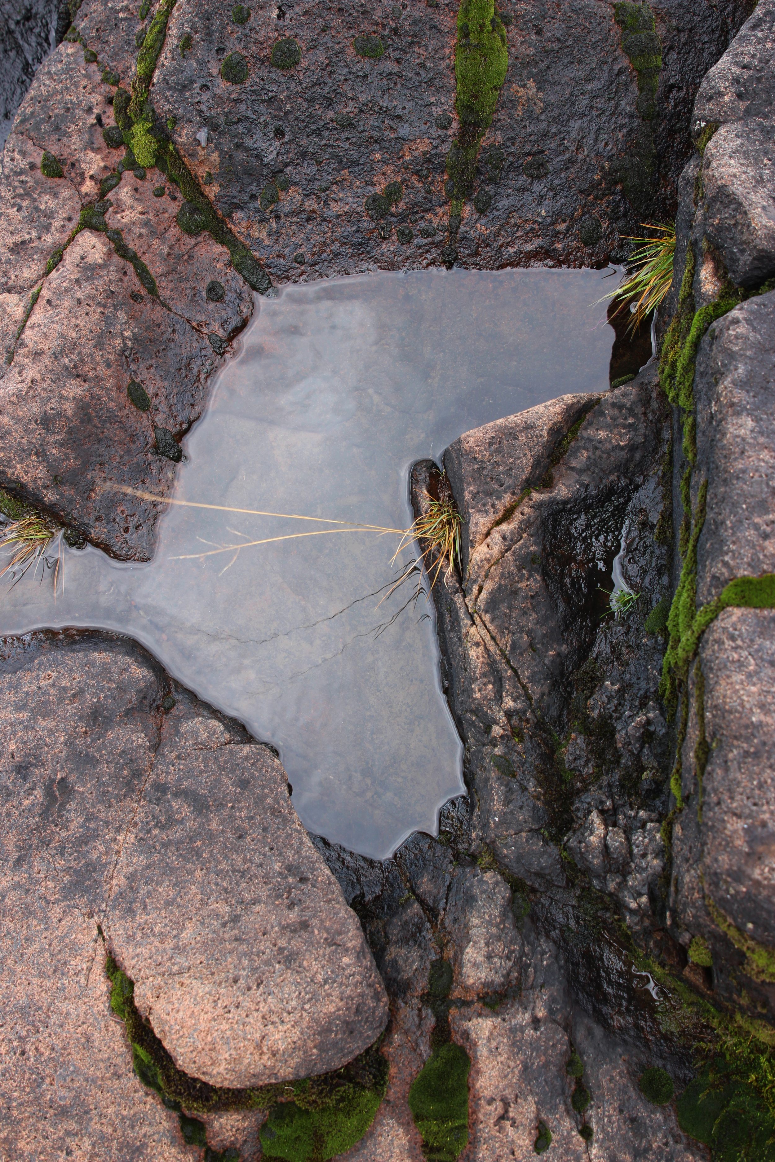 rock pool.jpg