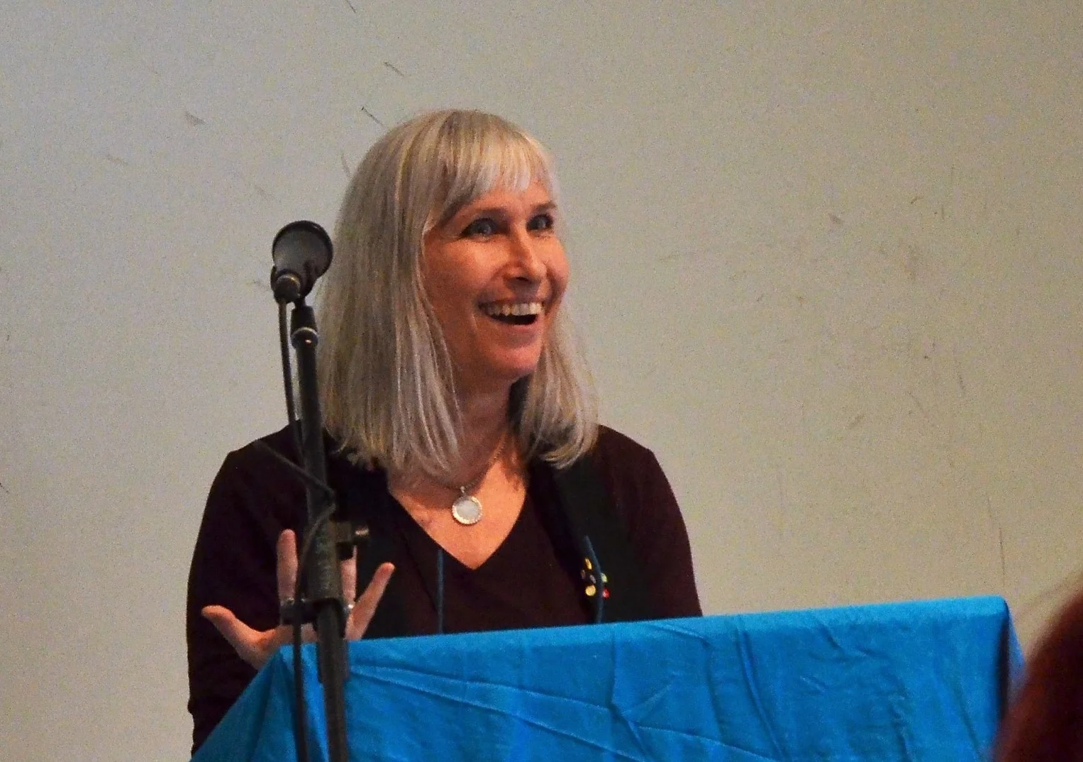 Book Reading VIDEO, with Intro by Juli Lyons