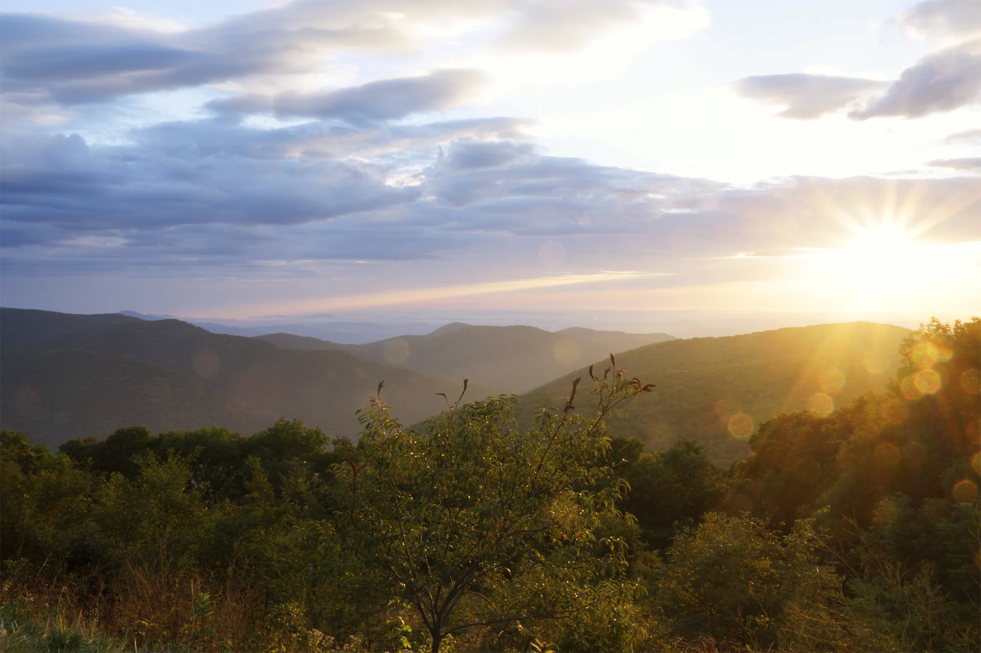 Sunset over a hilly landscape with cloudy sky and trees in the foreground.