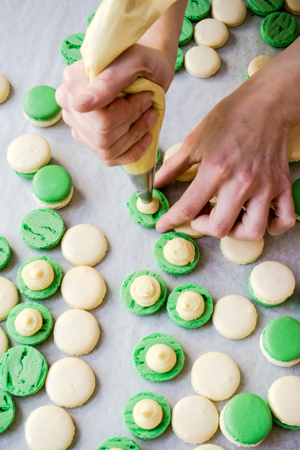 Assembling the macaron - a perfect balance of crunchy and chewy. Seen here, Vanilla Basil.