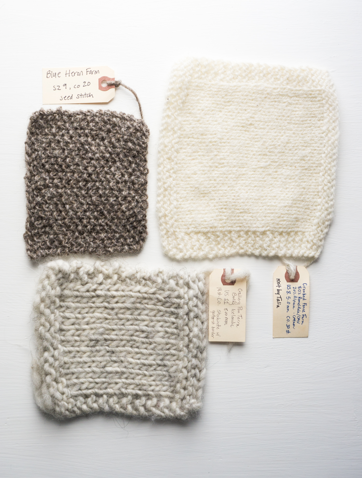 A growing trend - knitting designers collaborating directly with farmers to design patterns developed for specific sheep breeds and blends.