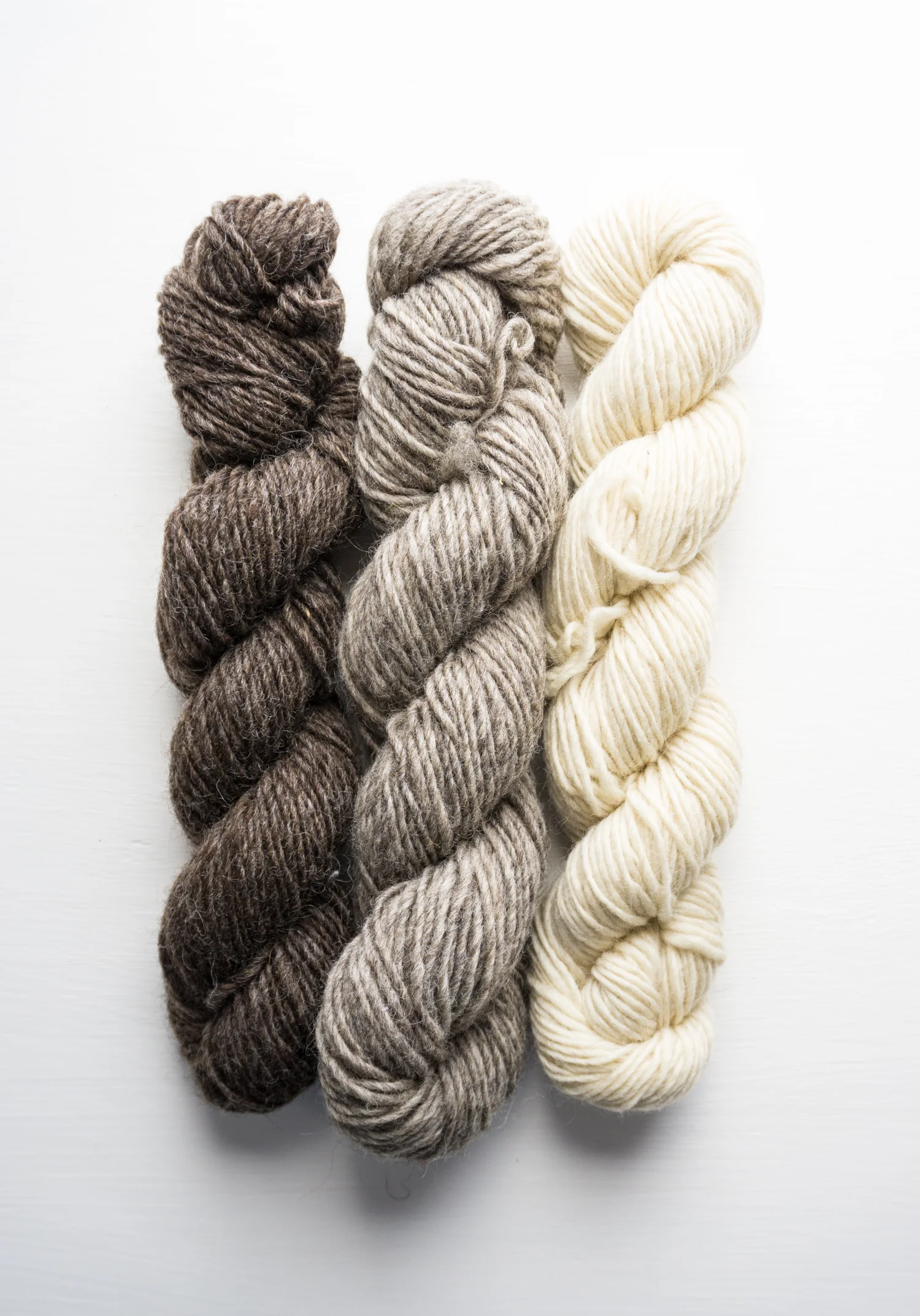 "I really believe part of our mission of New England Farm to Fiber at the BPM is to educate people on the beauty, diversity, and versatility of farm fibers." - Genevieve Day