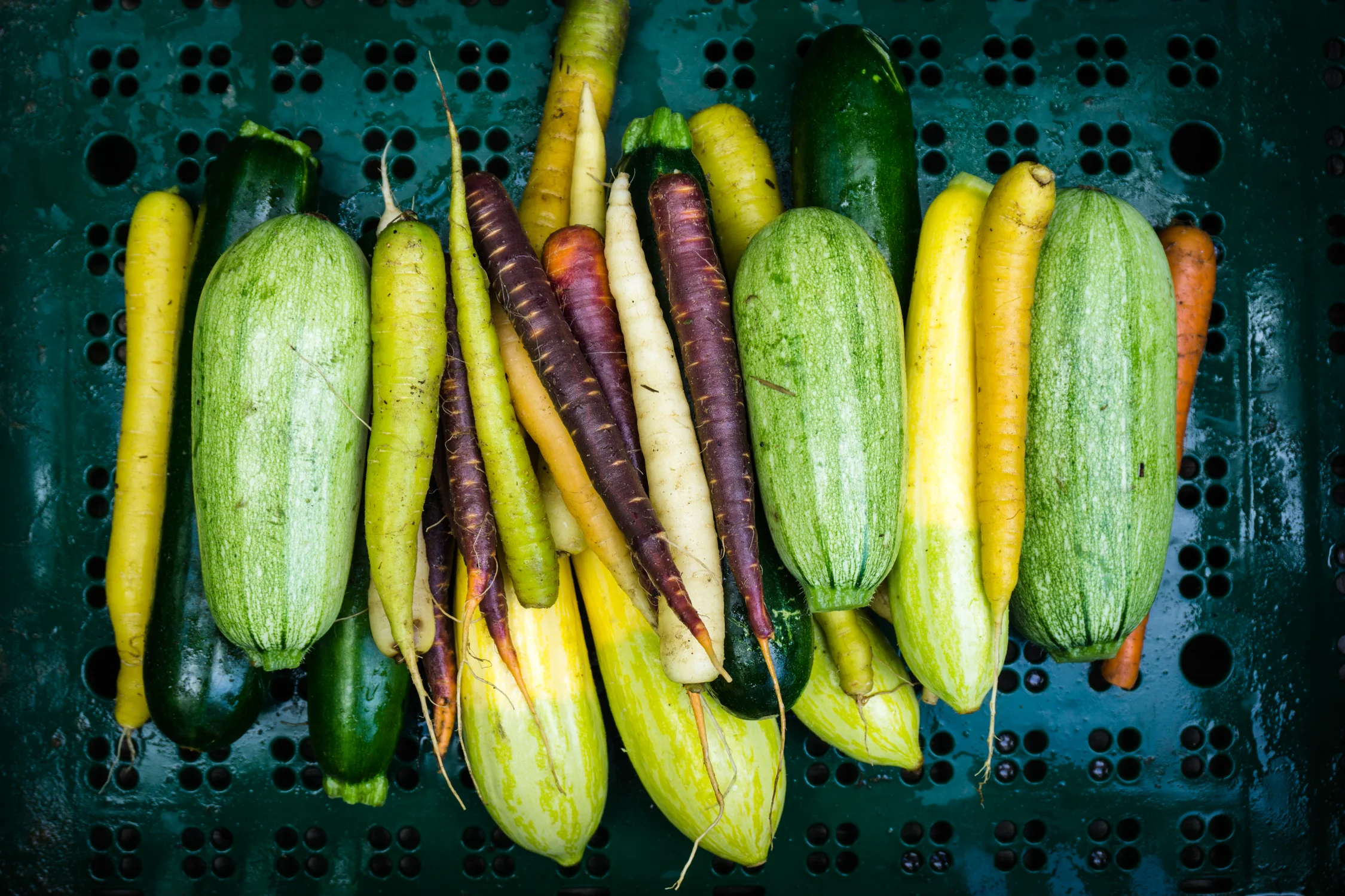 When you buy locally grown produce you support your community.