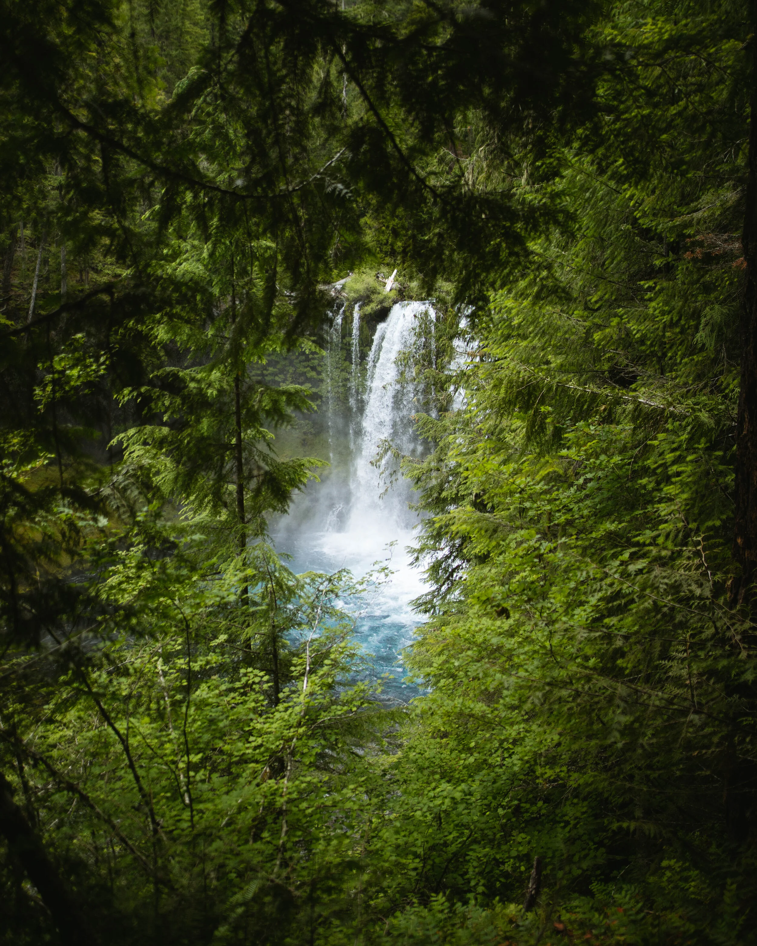 Hidden Waterfall - Quick Edit.jpg