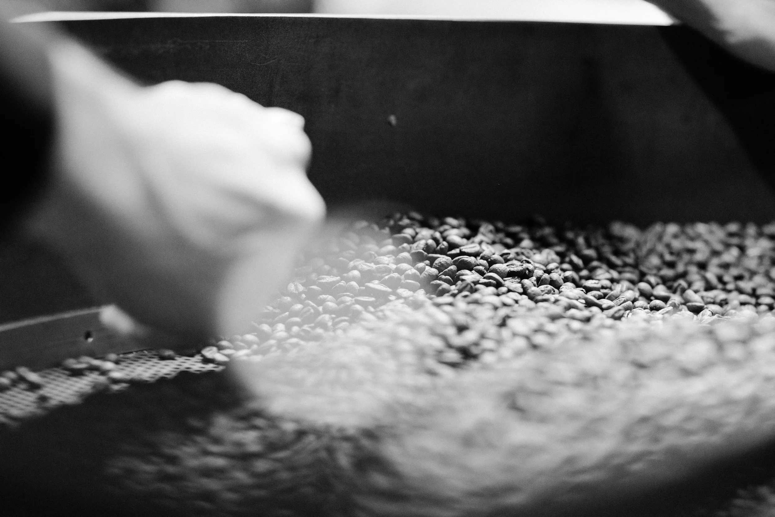 Levi Roasting B&W-8.jpg