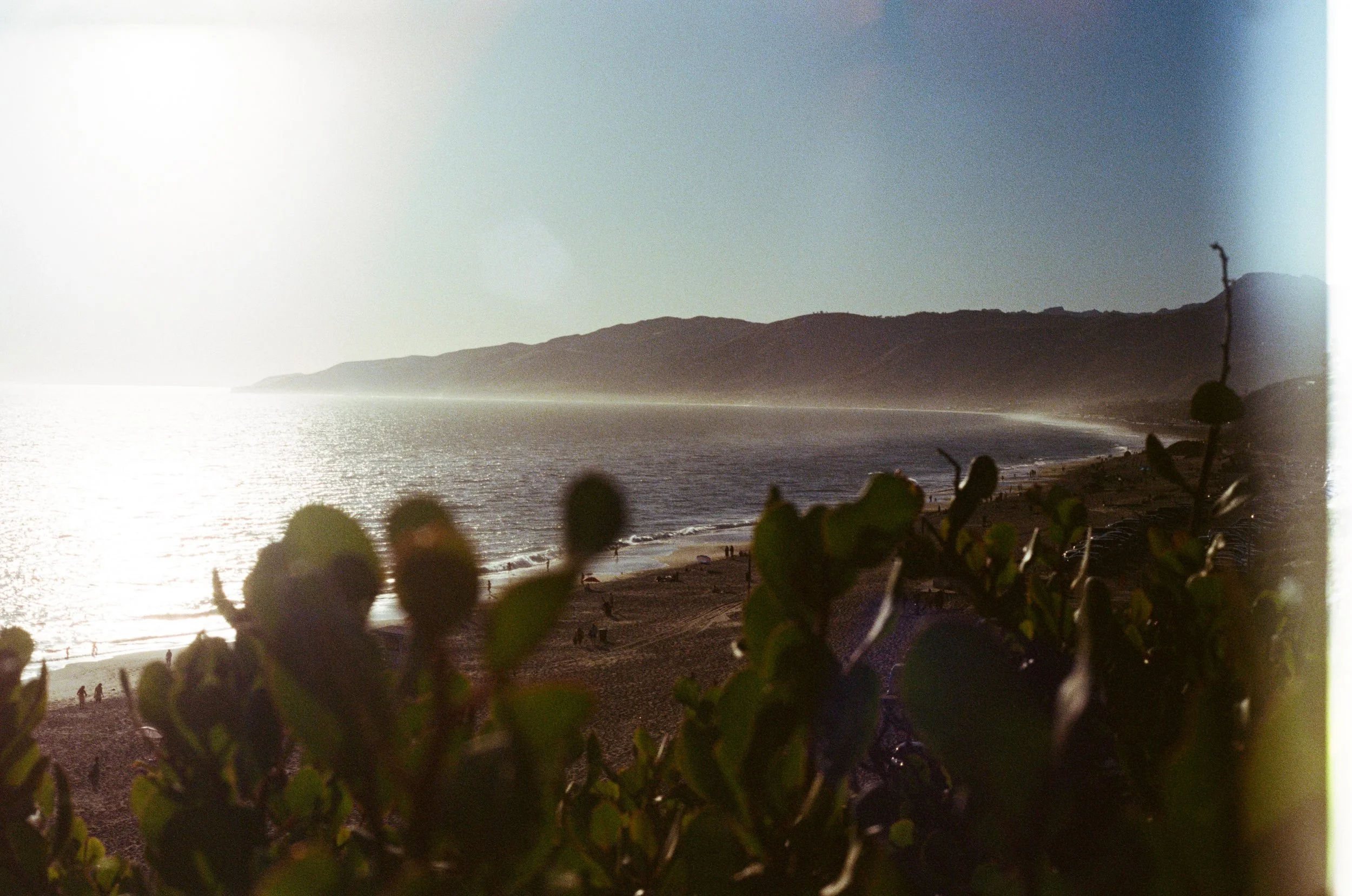 Lost in Malibu-3.jpg