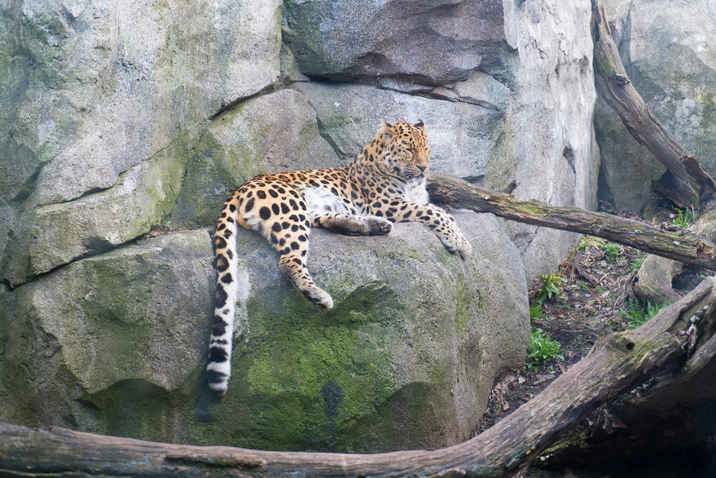 EDIT_DSC2503.jpg