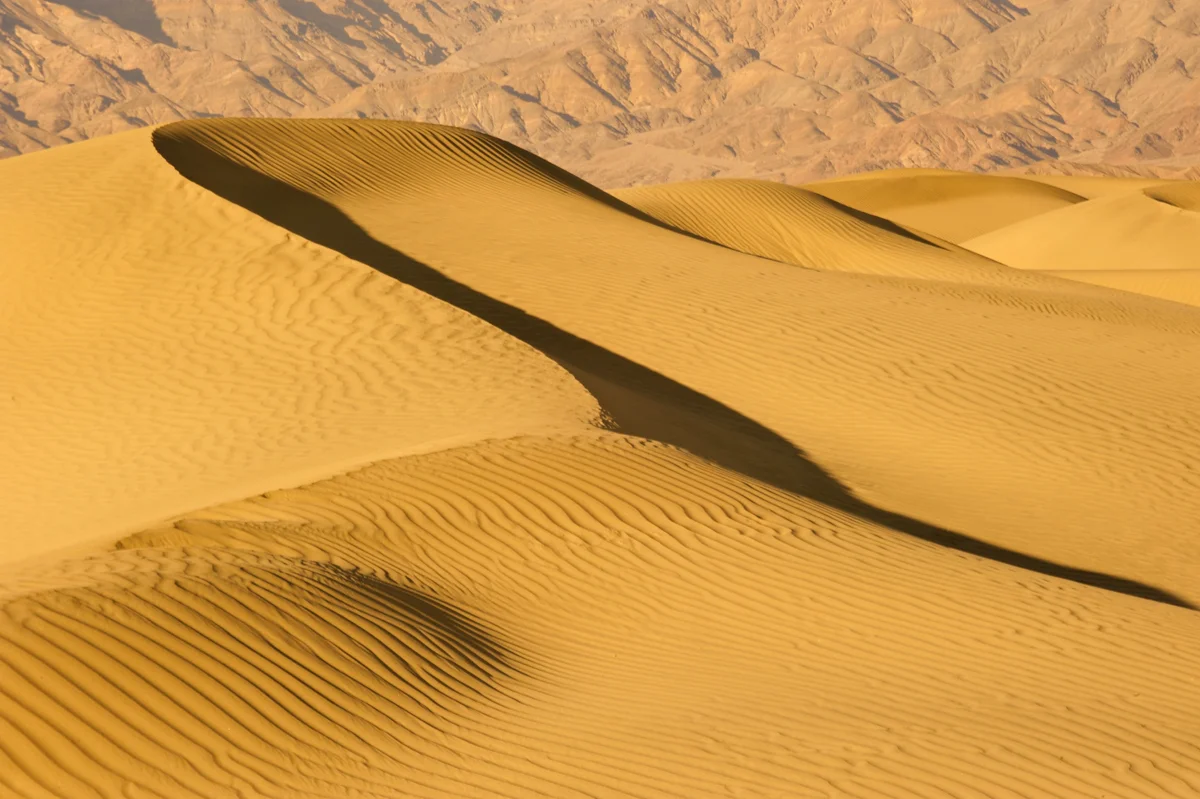 Mesquite dunes late afternoon #2.jpg