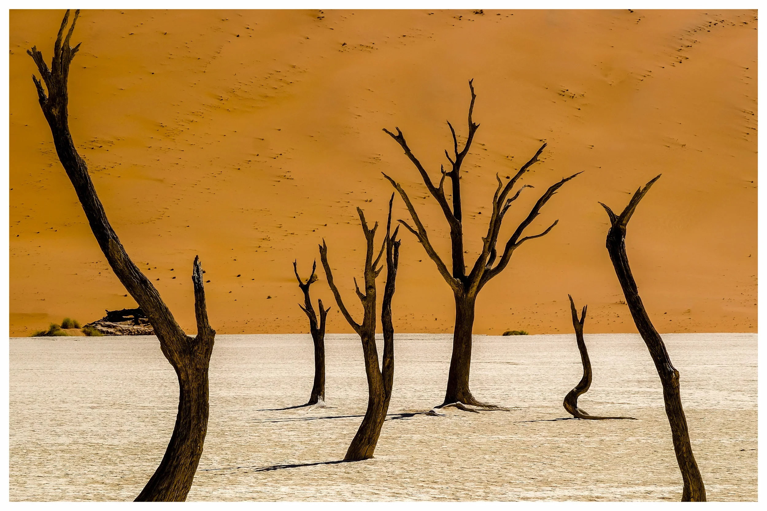 Namibia 2018-103.jpg