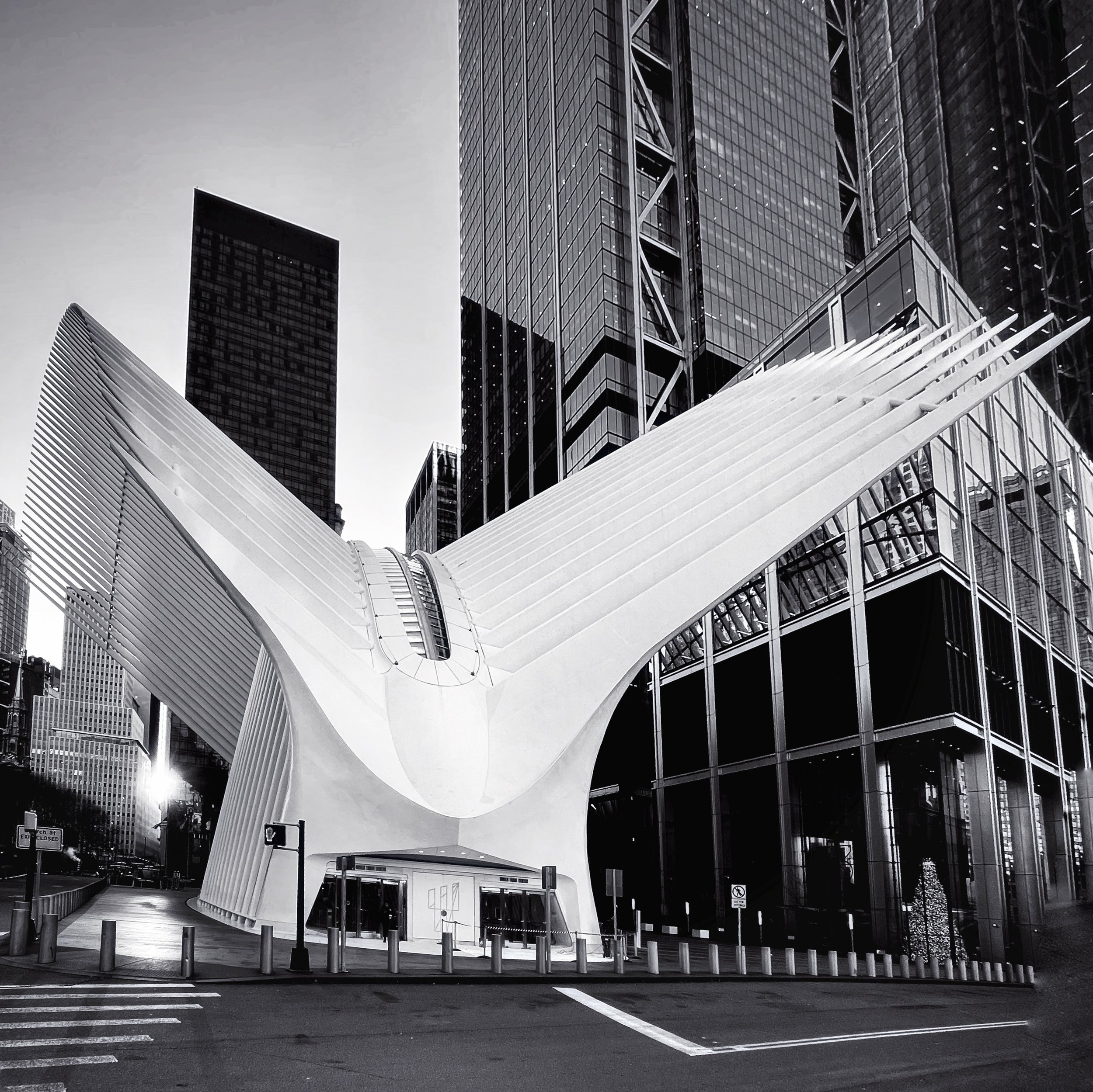 The Oculus, NYC