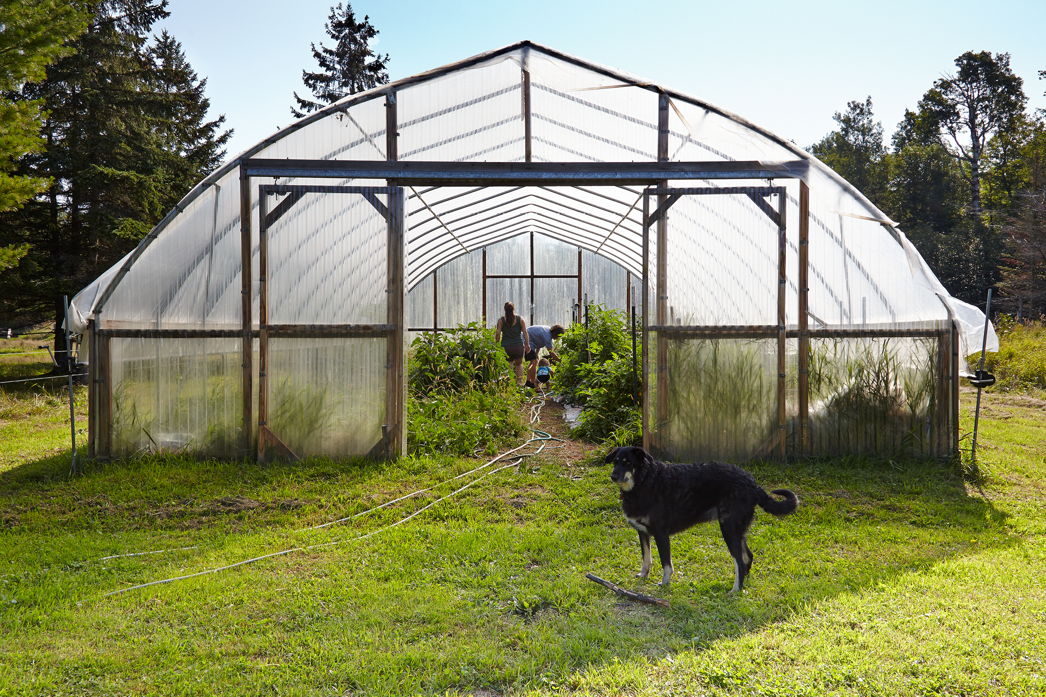 FarmhouseStory4.jpg