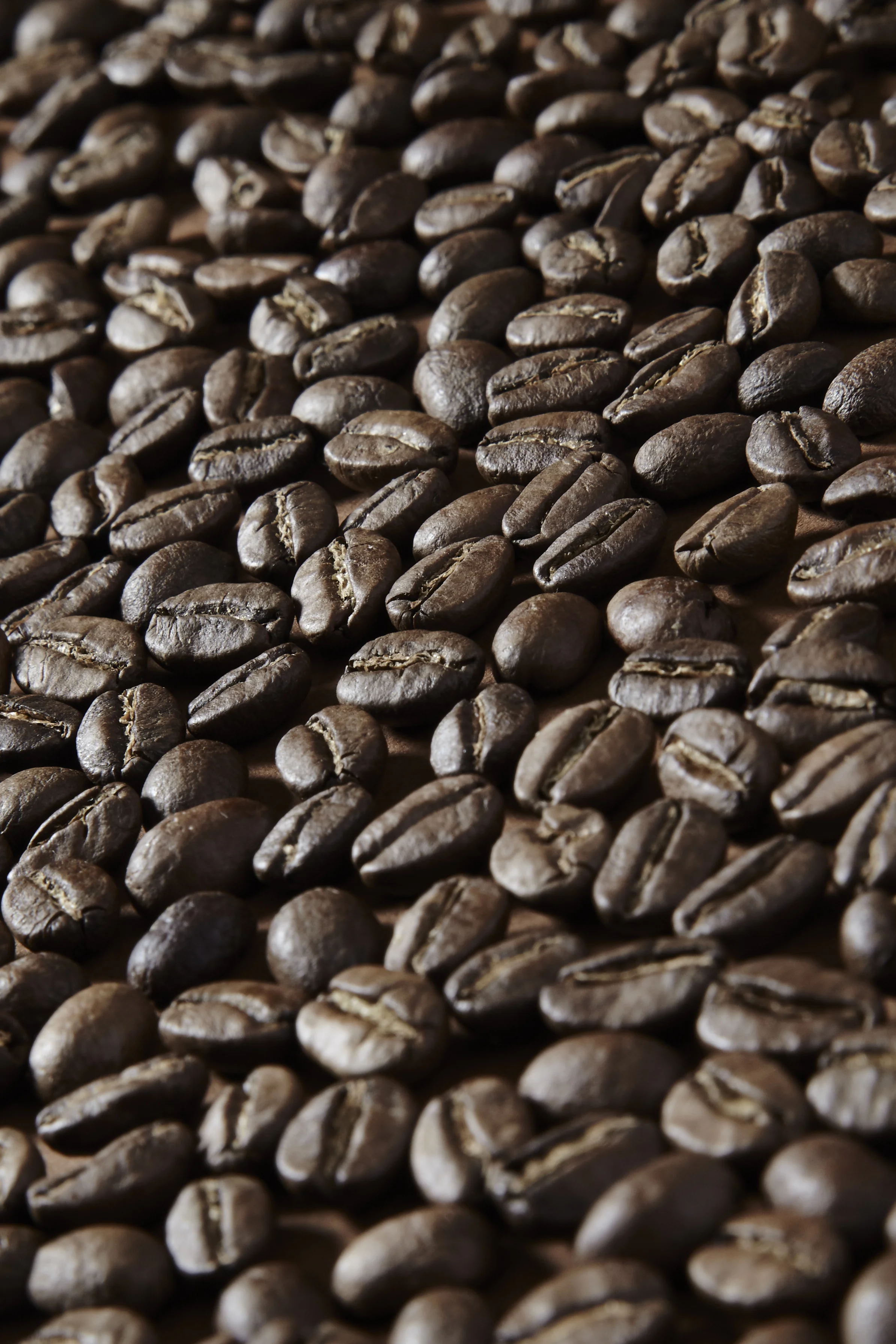 0406_FoodTest_0680.jpg