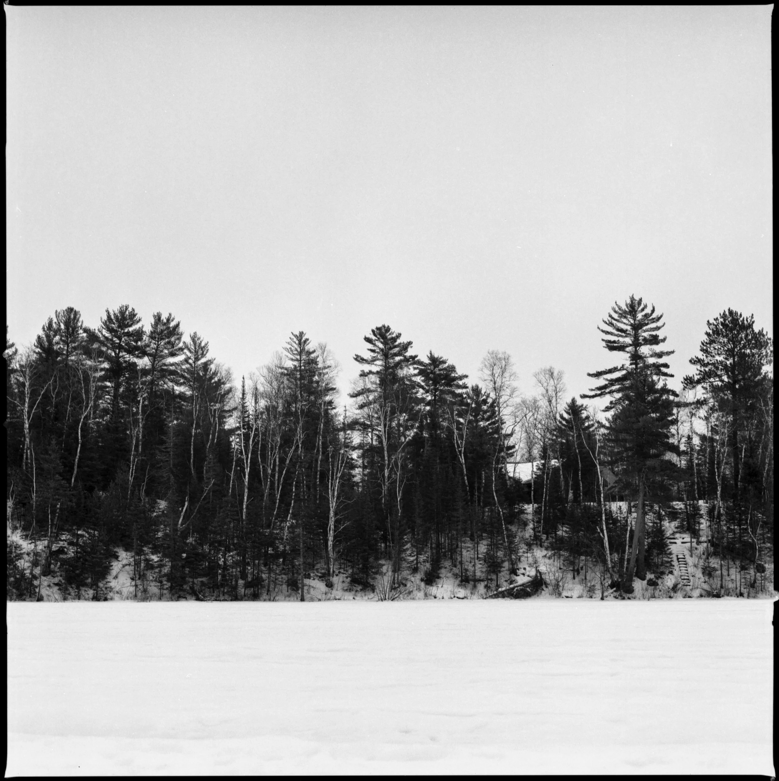 0202317_014.jpg