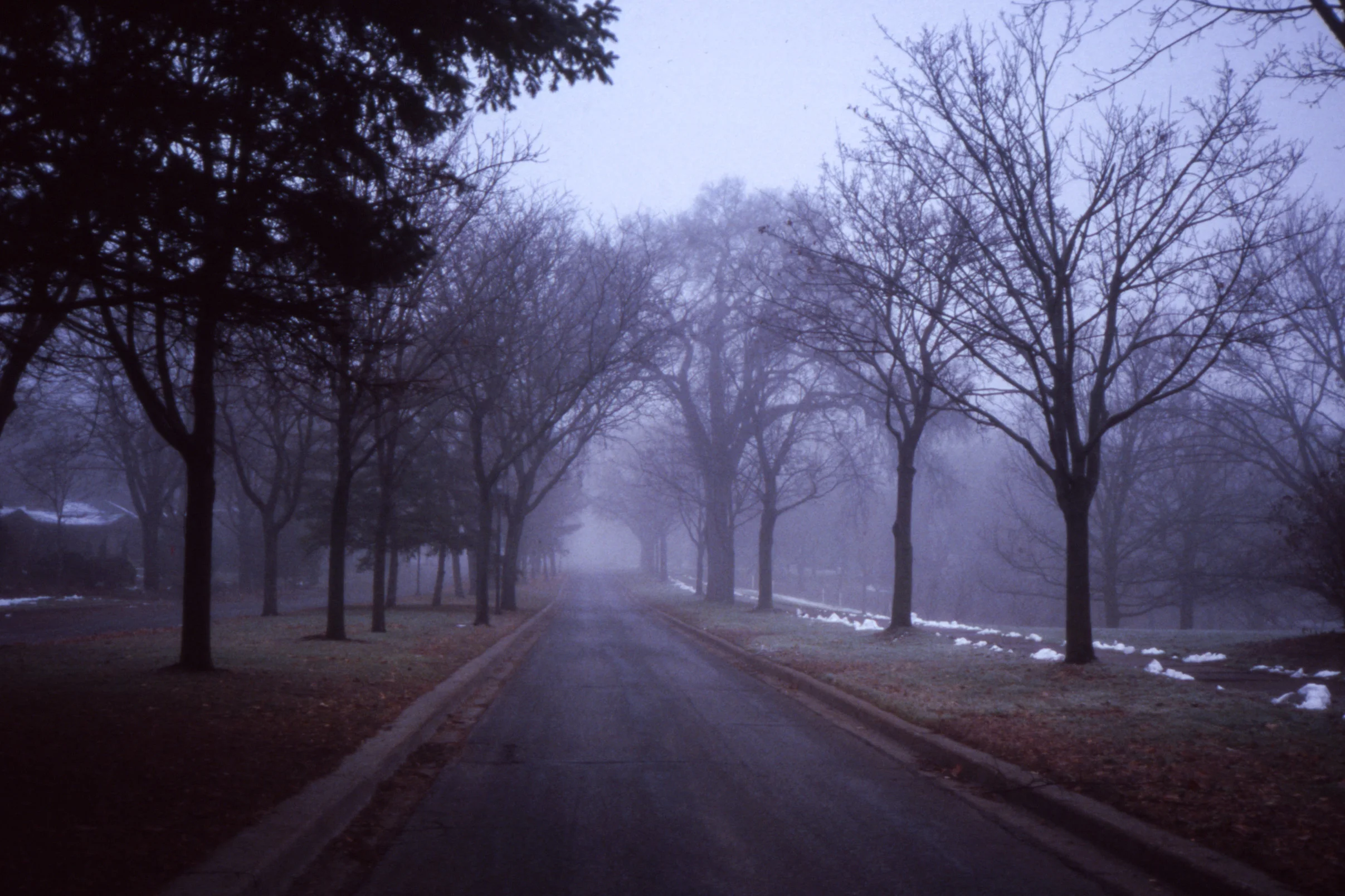 0202317_026.jpg
