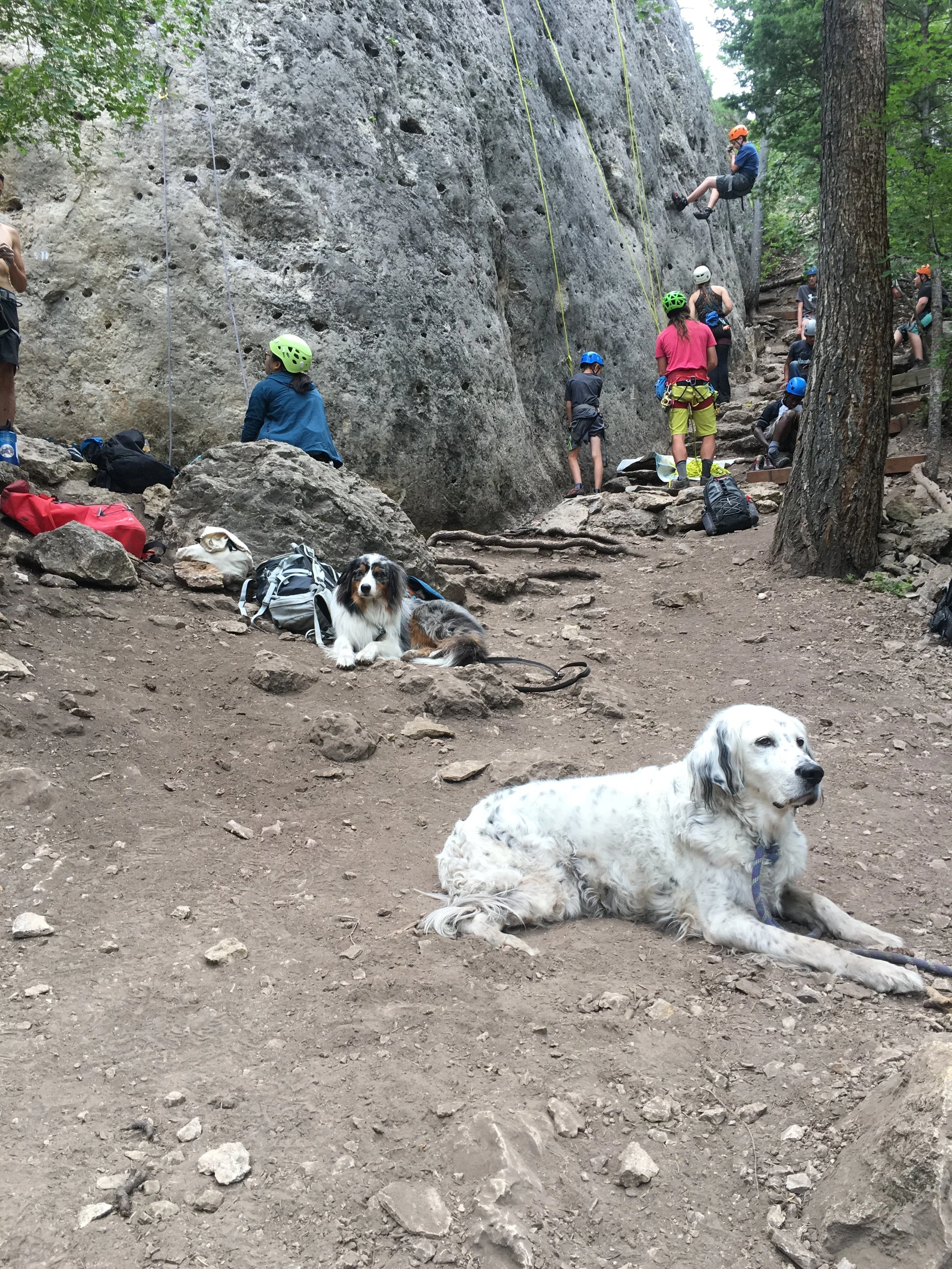Climbing is always better with crag dogs.