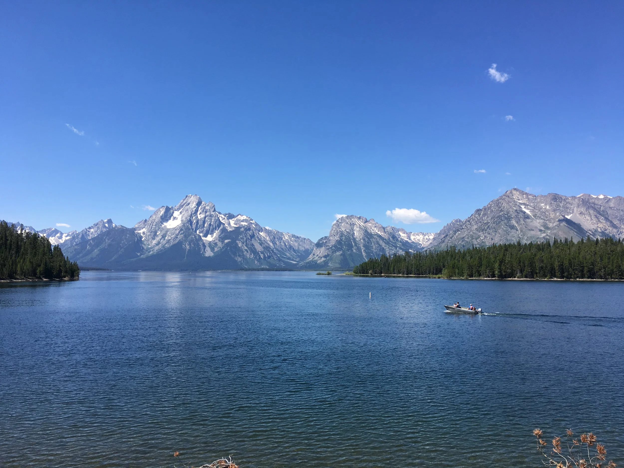 Stop #7: Grand Teton National Park