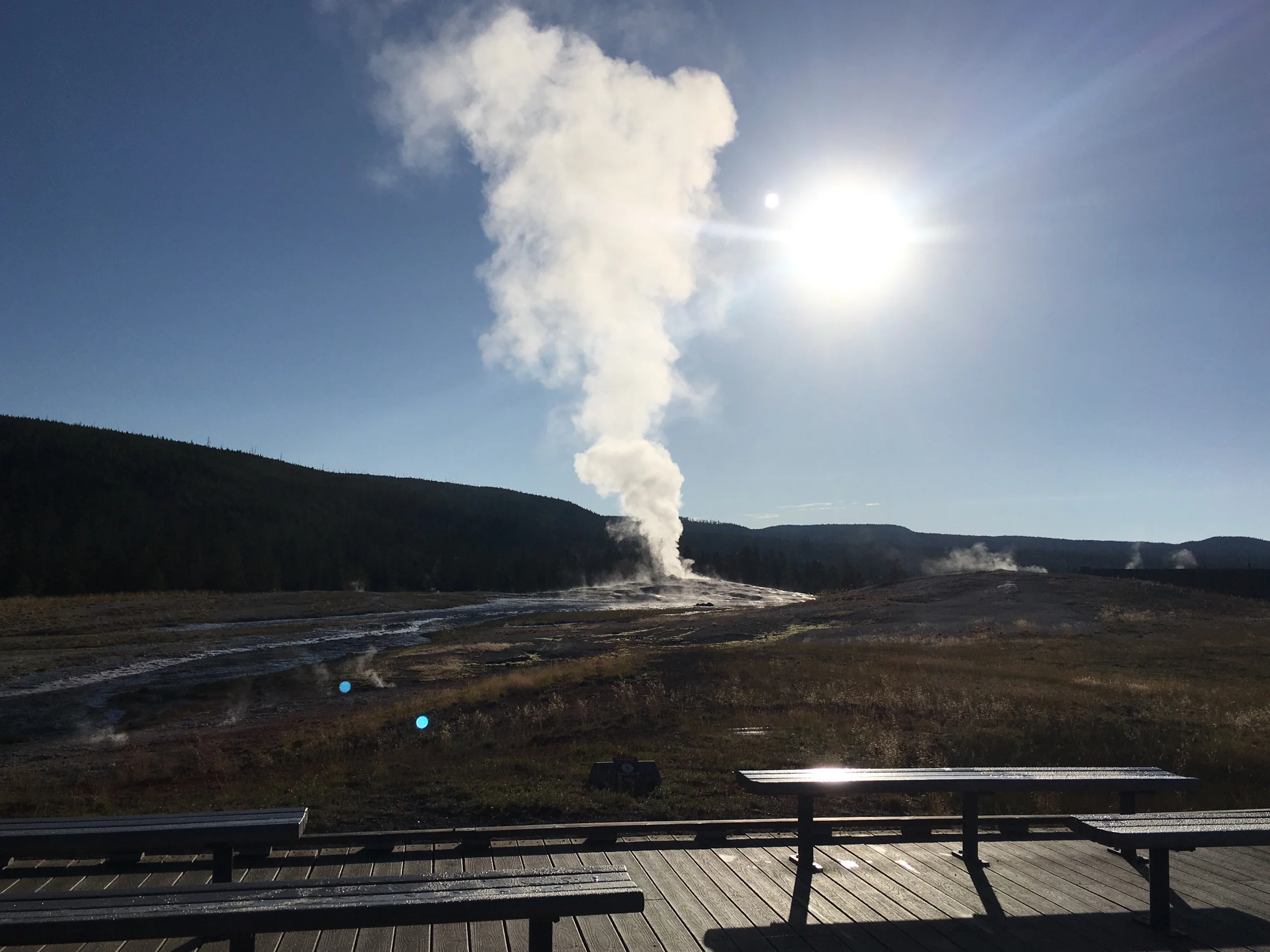 Stop #8: Yellowstone National Park