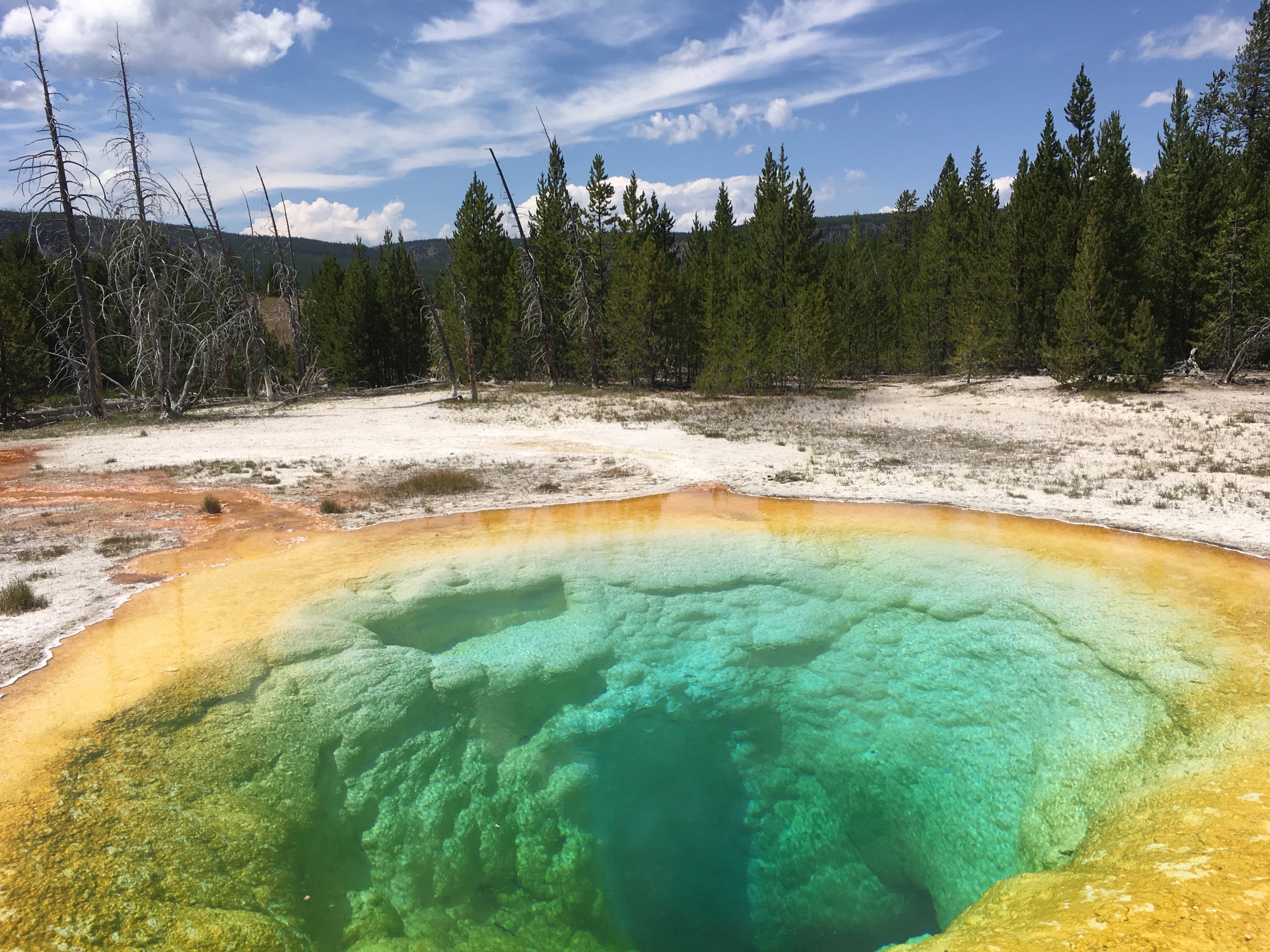 Liberty Pool