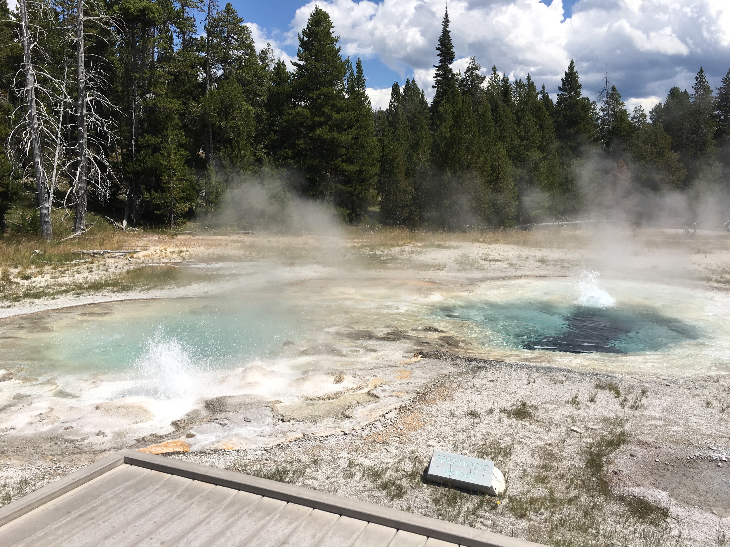 Spasmodic Geyser