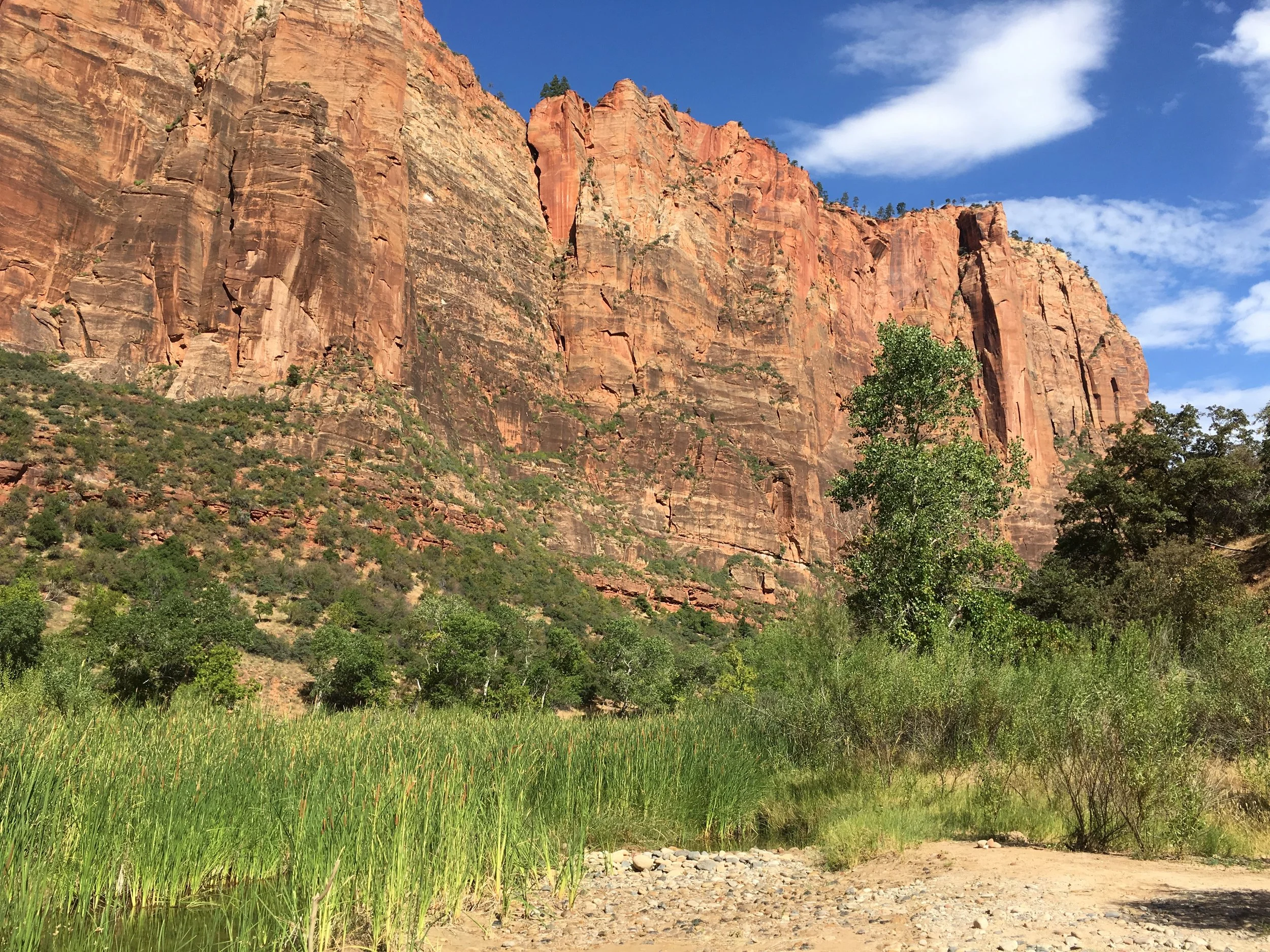 Stop #19: Zion National Park (by way of Las Vegas)