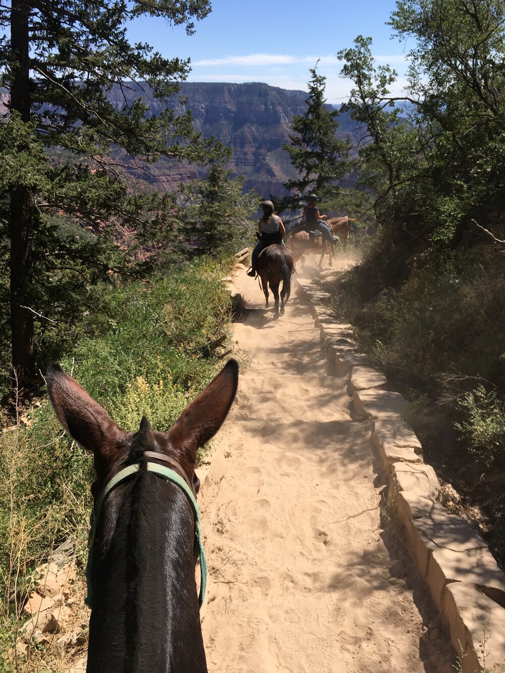 On the trail