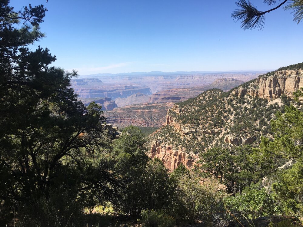 Another viewpoint from the trail