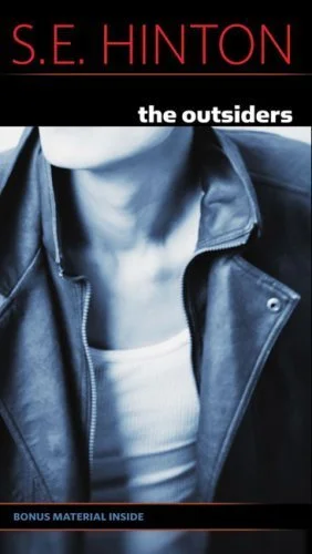 The Outsiders by SE Hinton episode artwork